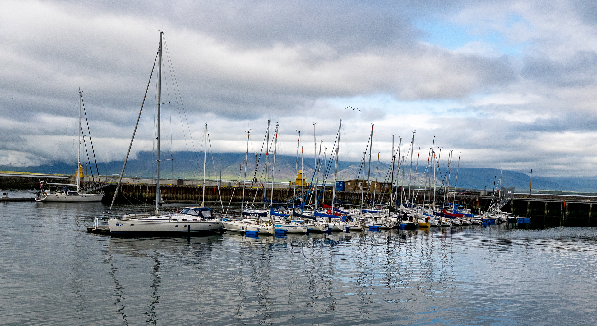 Reykjavik harbor