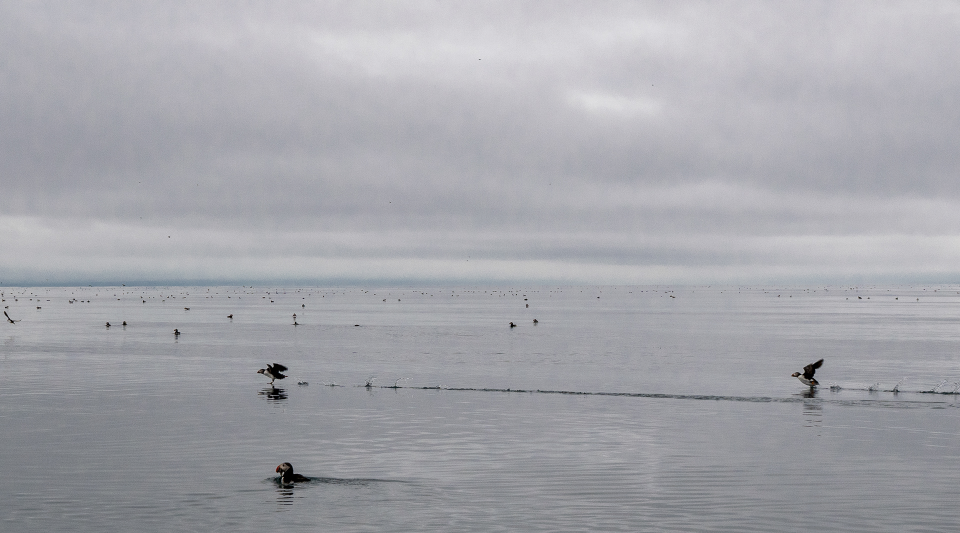 Scene from Zodiac around Drangey island