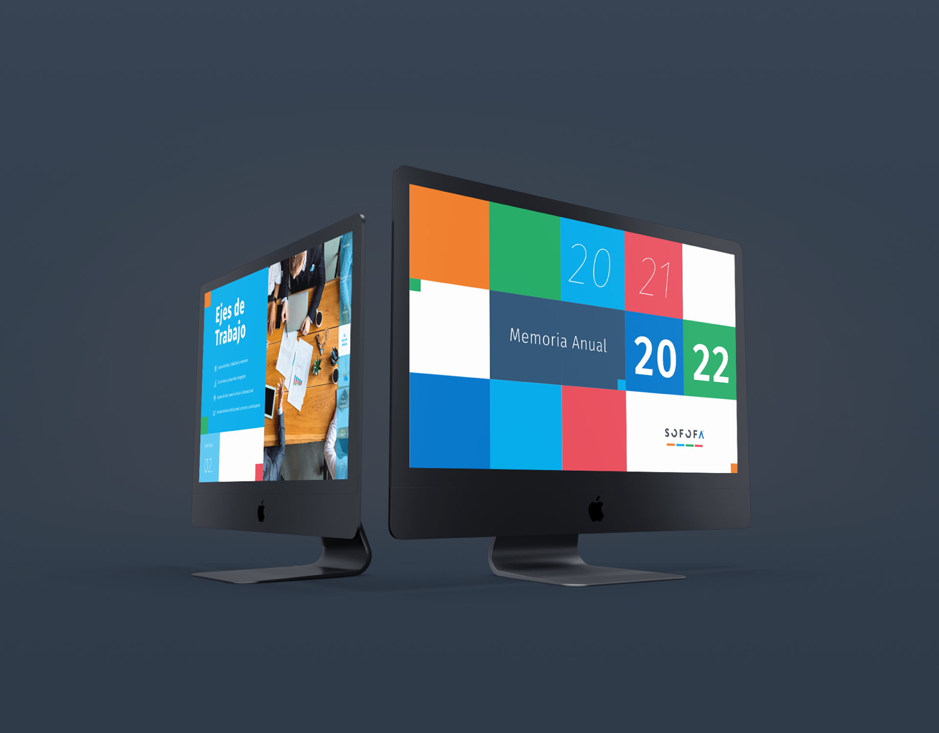 Memoria Anual SOFOFA 2021 - 2022