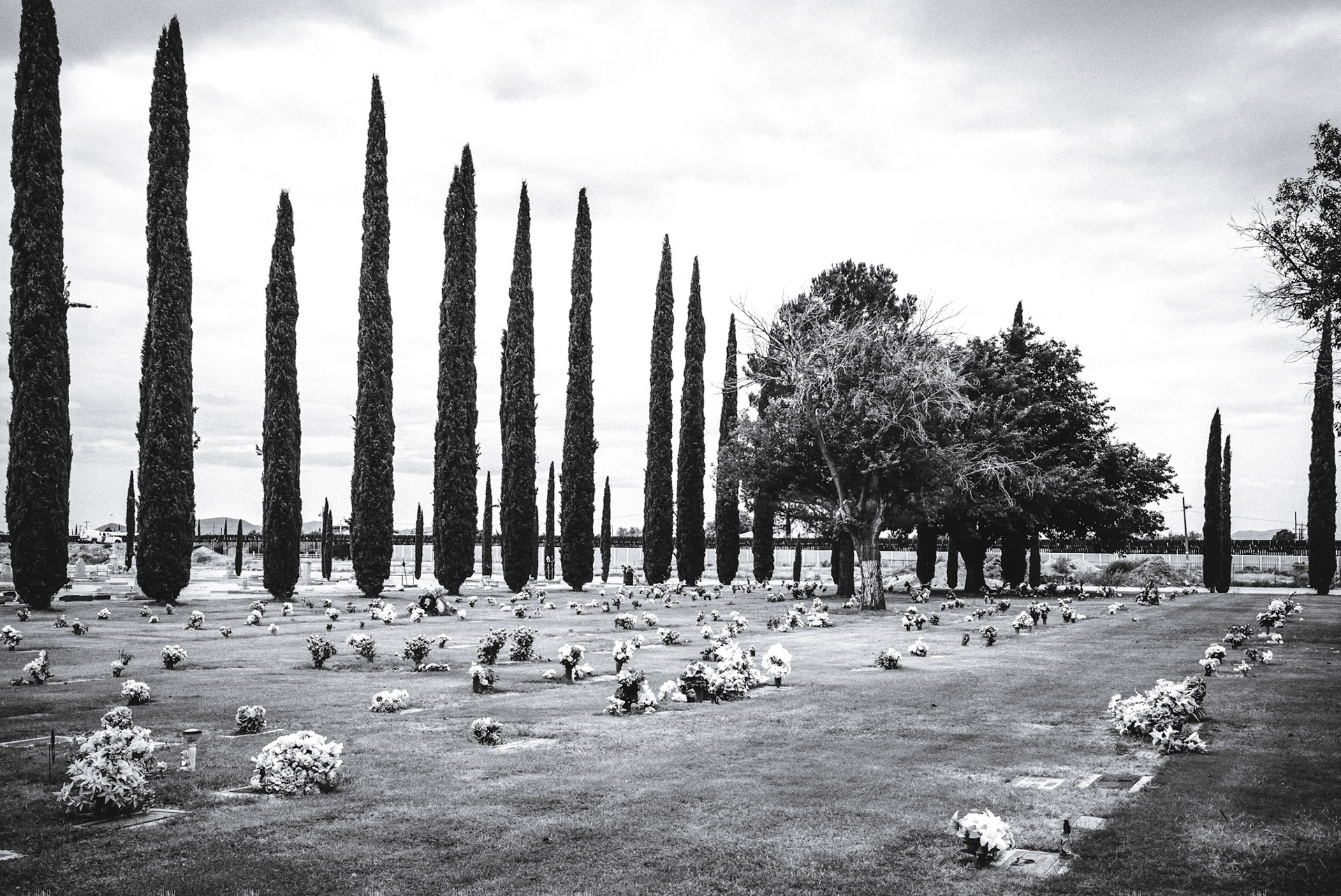Border cemetary in Douglas AZ