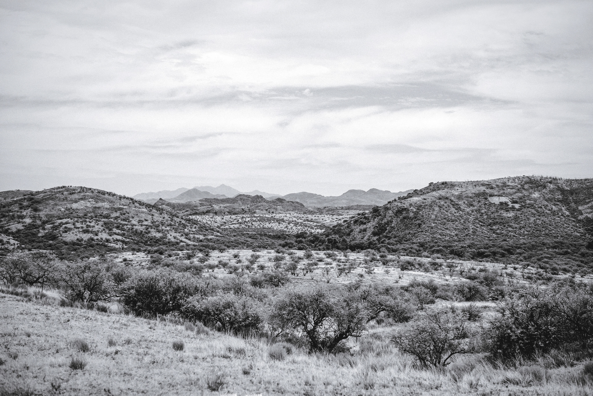 Arizona border desert close to Nogales