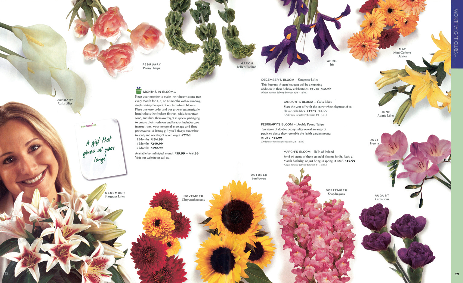 Layout and Production