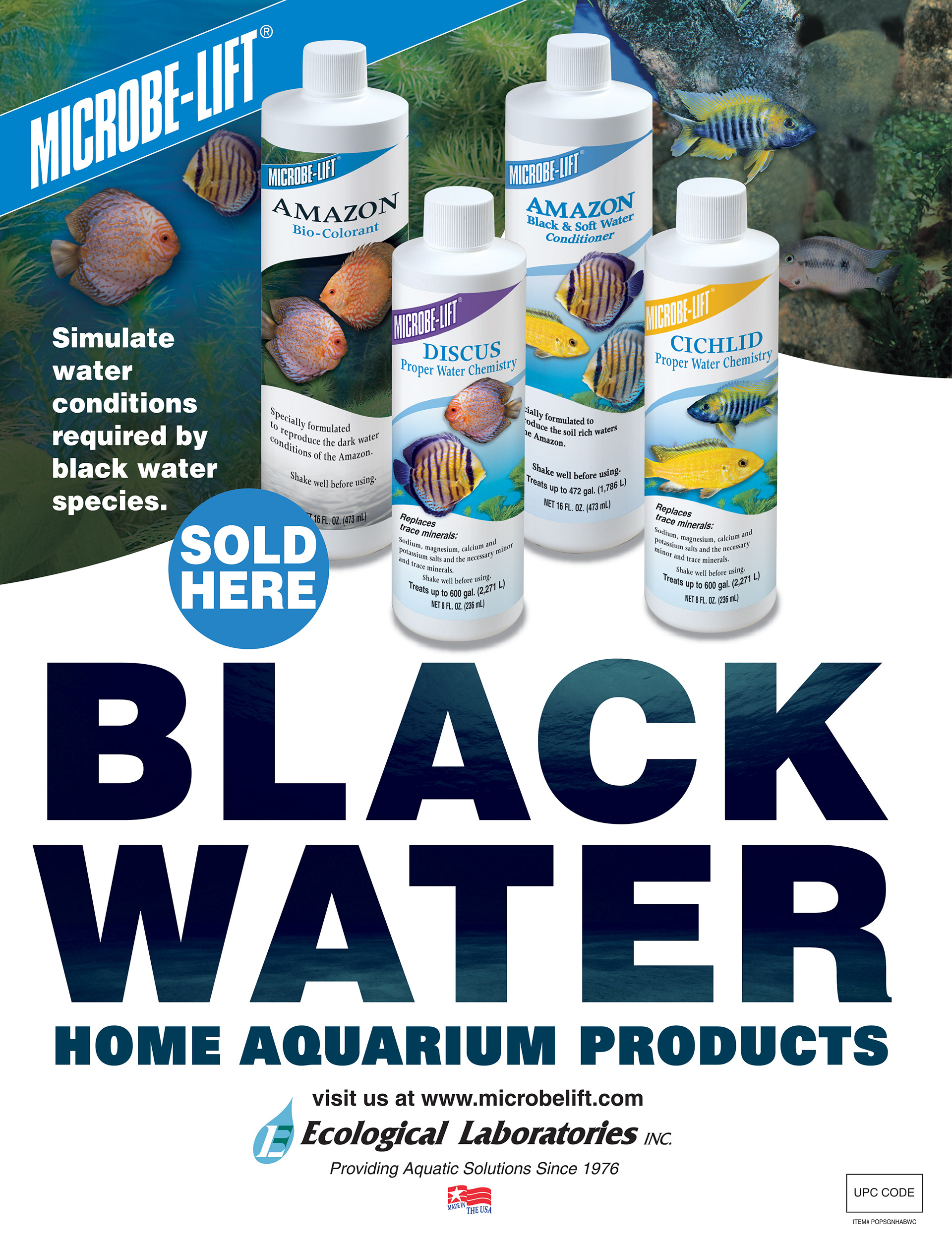 Layout and Production