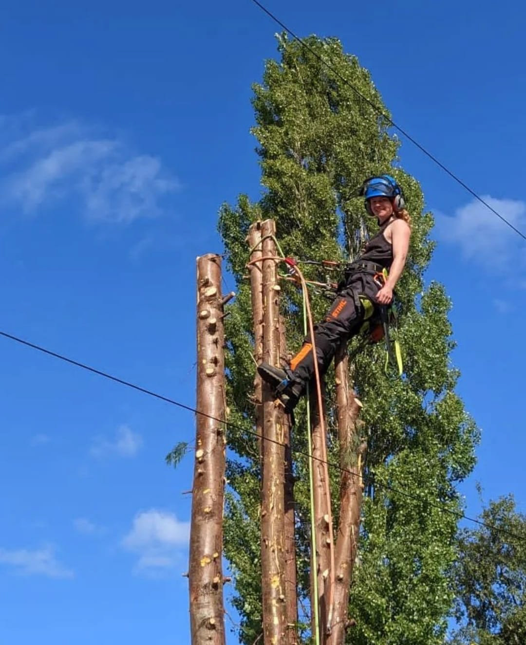Sasha Ballon, Tree Surgeon Apprentice