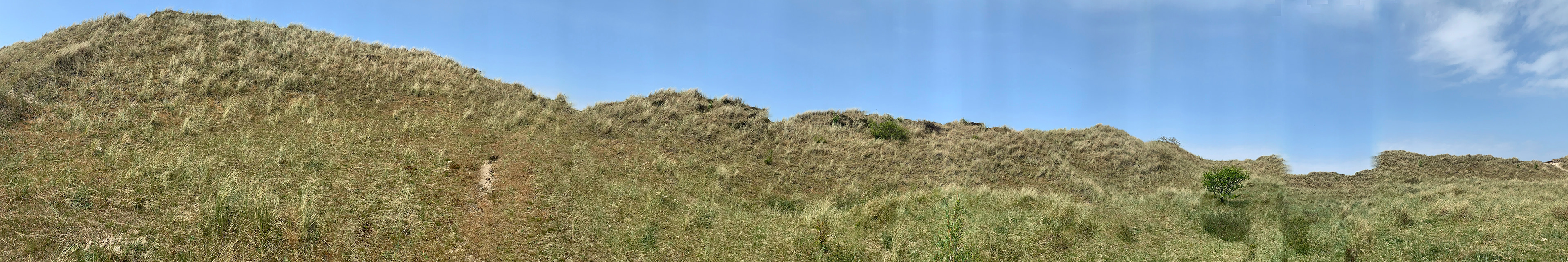 Duinweg Lies, Terschelling