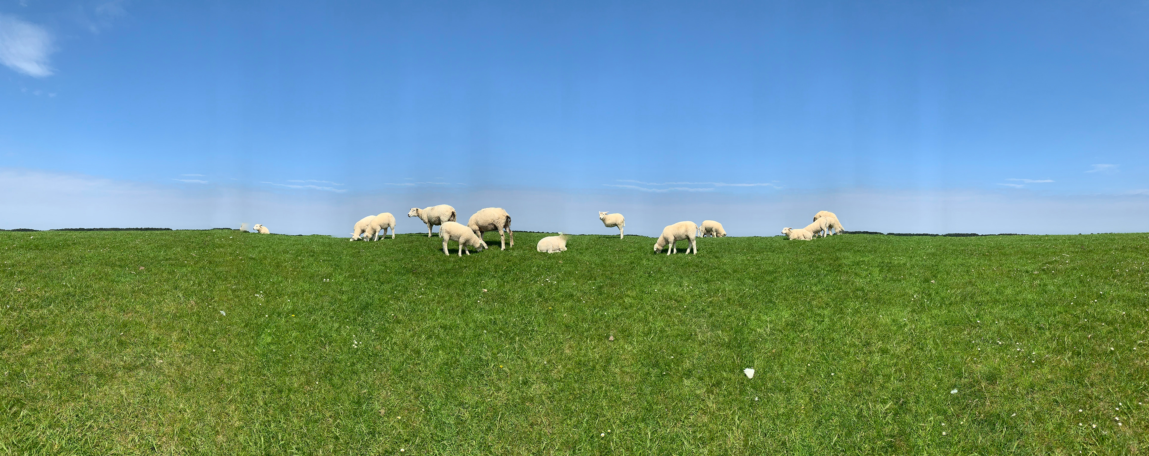 Westerdijk, Terschelling