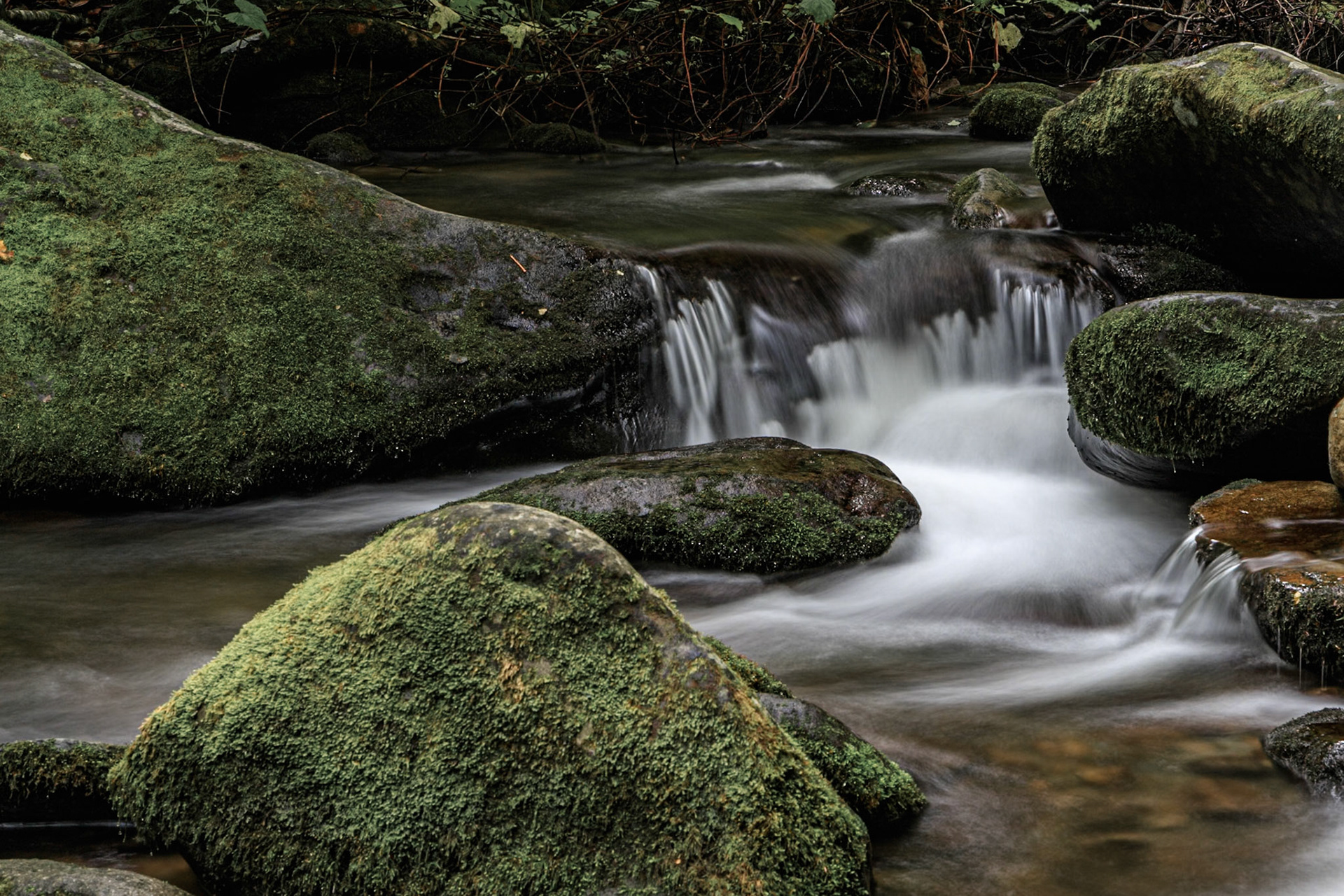 Roaring Fork
