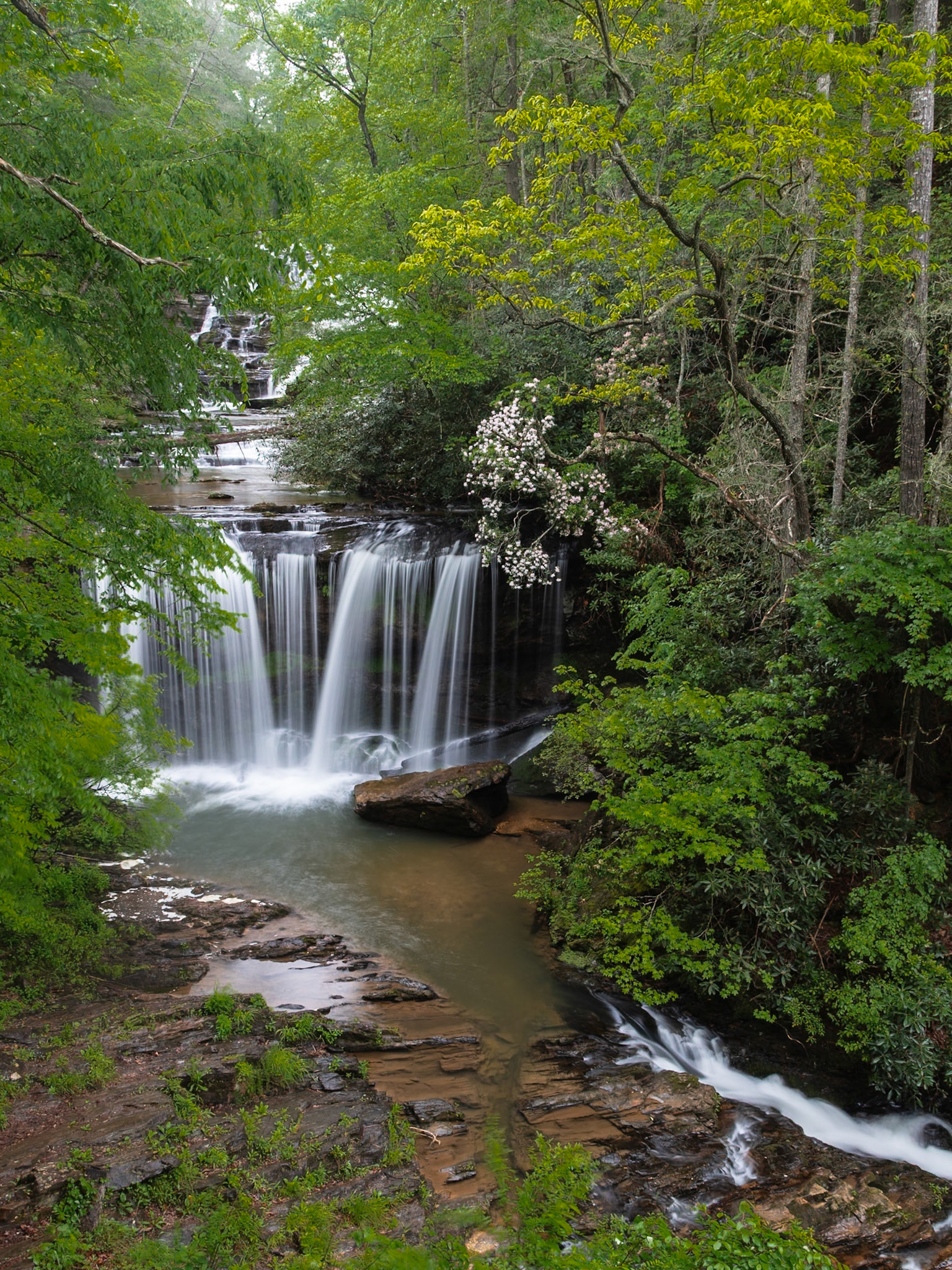A view along the trail at Brasstown Falls in South Carolina
