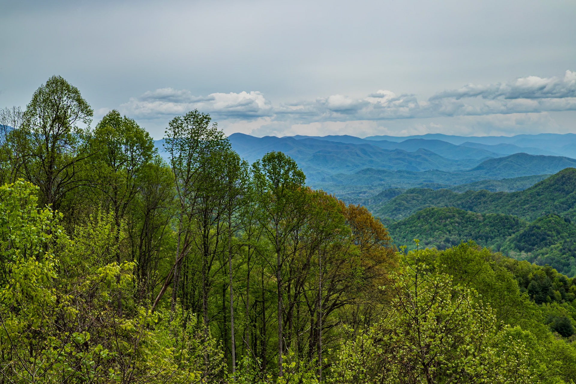 View at Stoach Gap along the AT trail