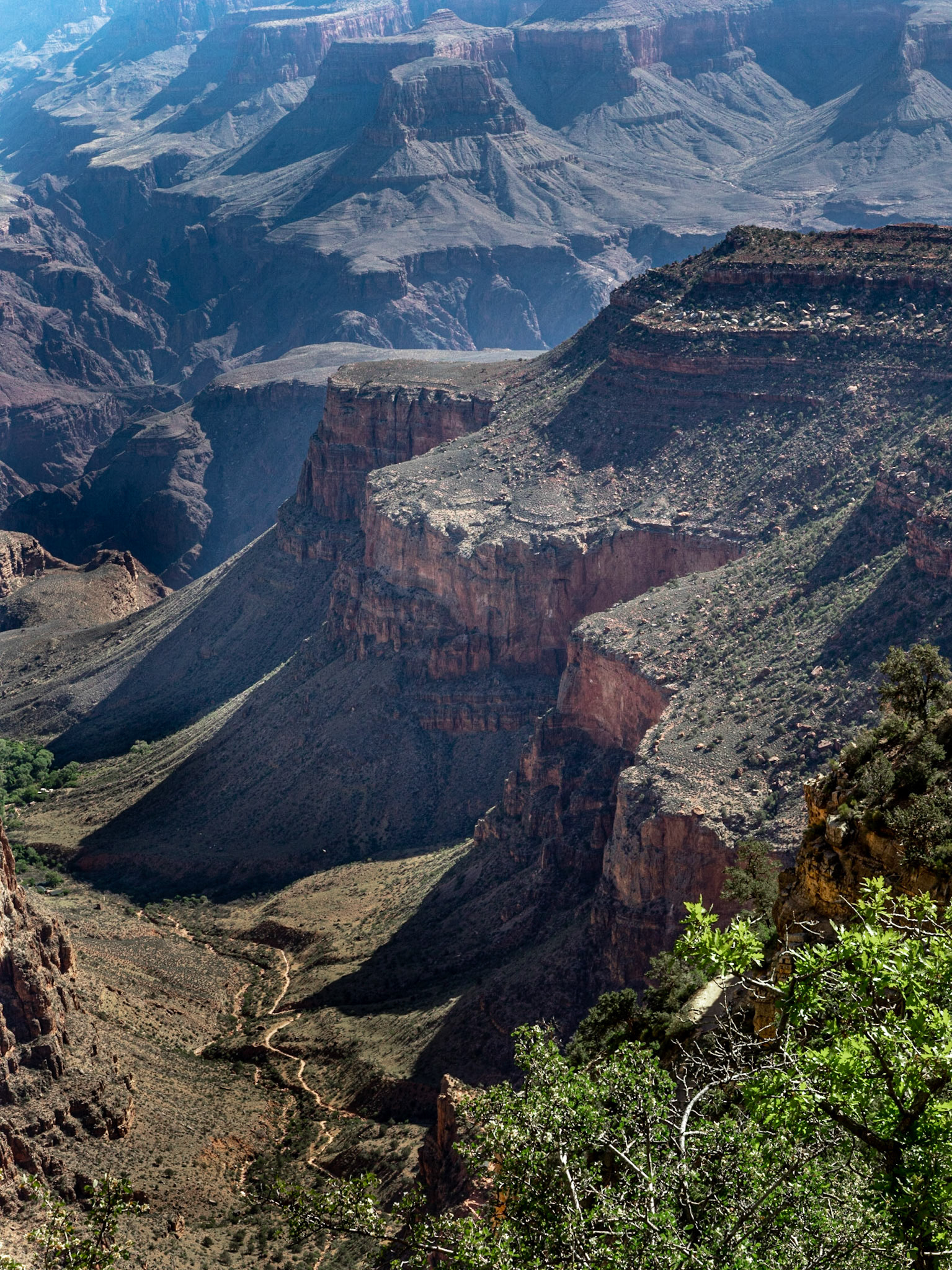 On the Bright Angel Trail