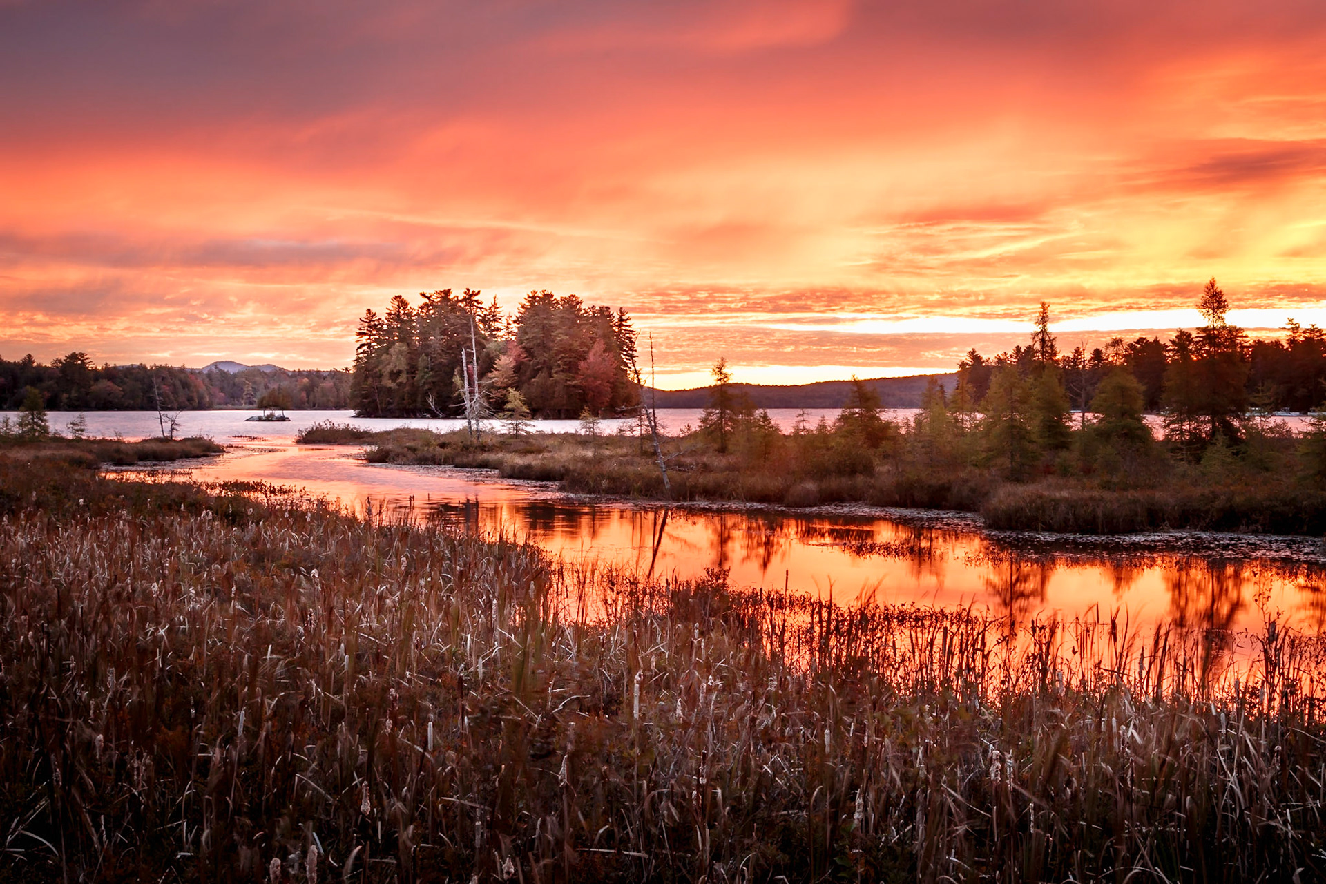 Sunrise at the Stream