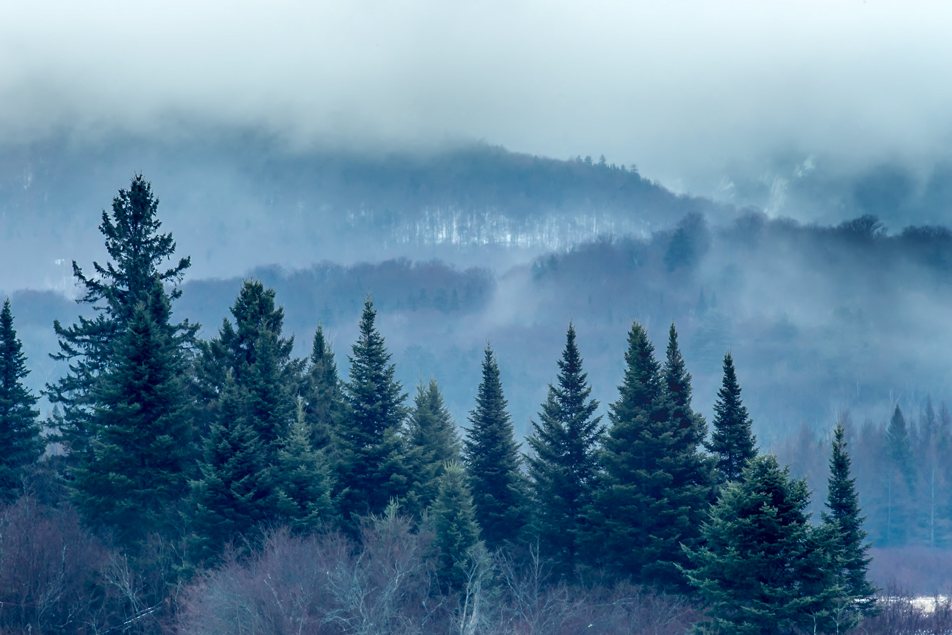 Winter fog