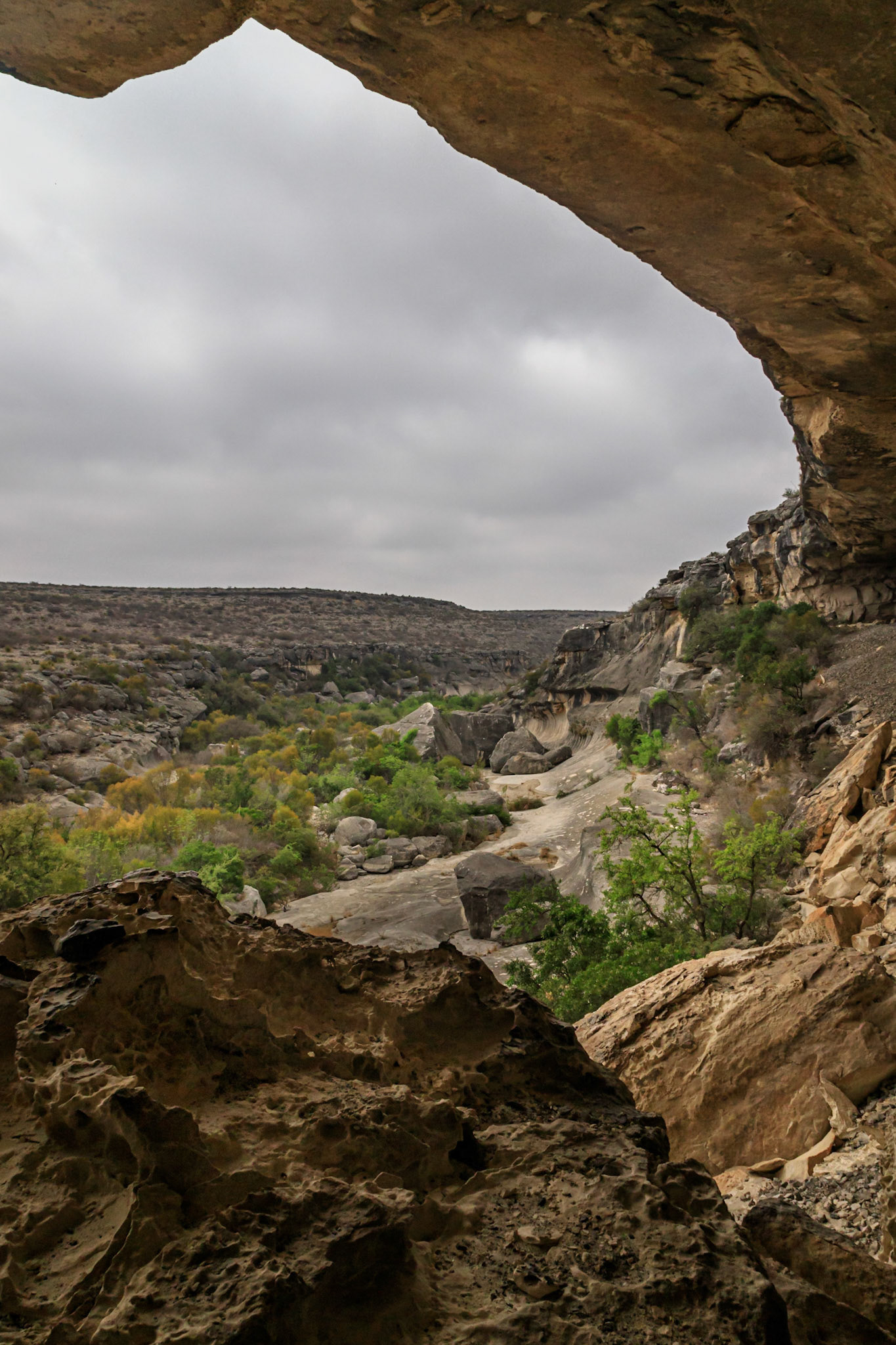 Shelter View