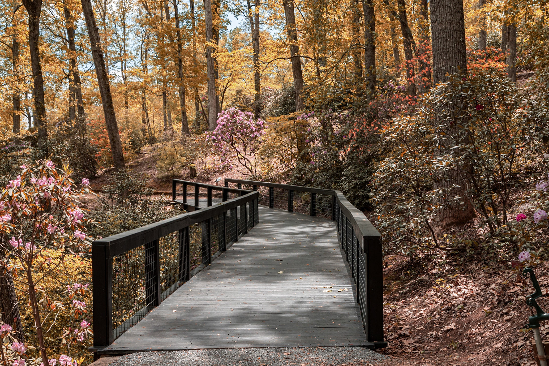 Hamilton Garden Walkway