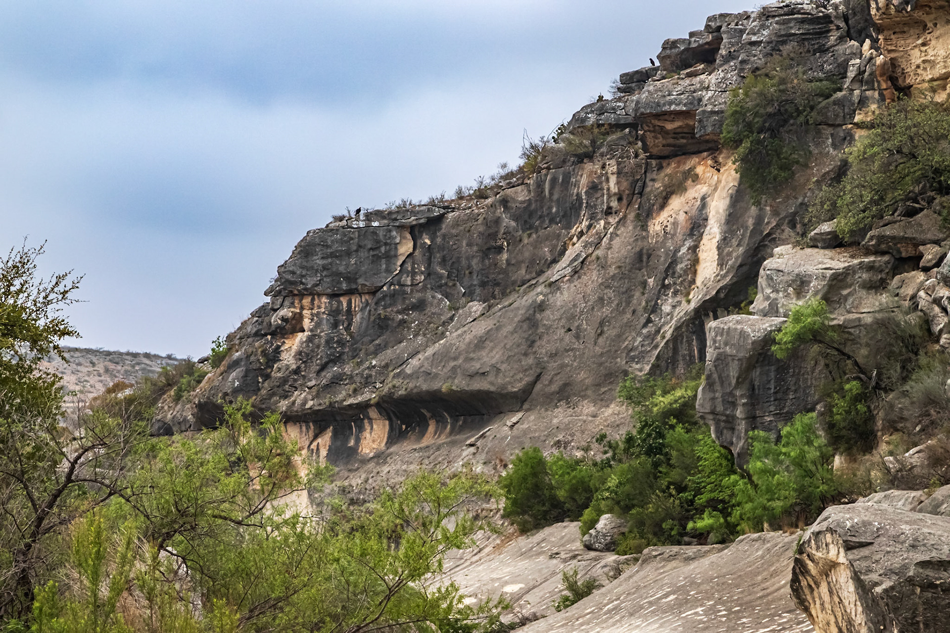 Canyon Wall