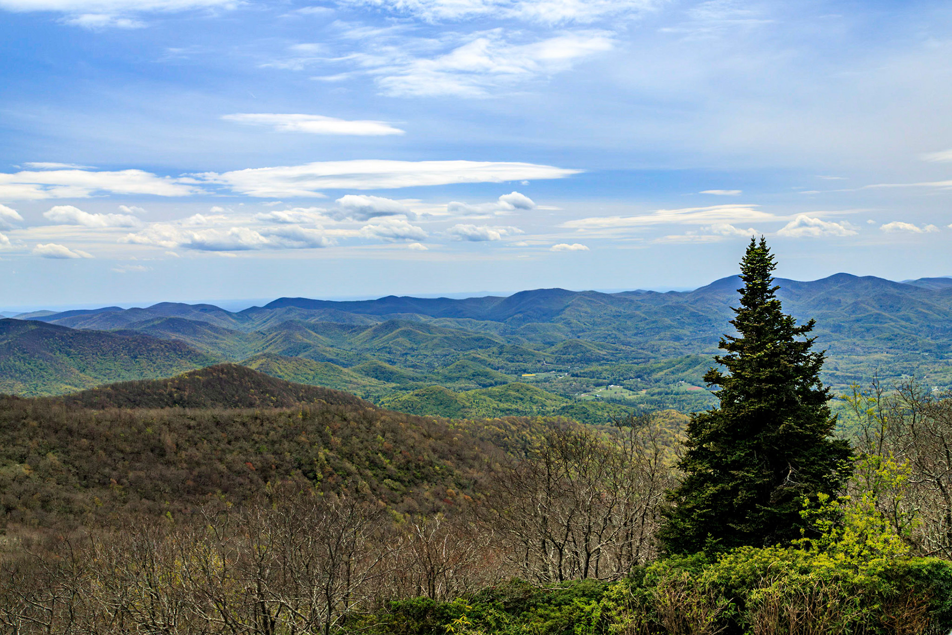 Brasstown Bald View