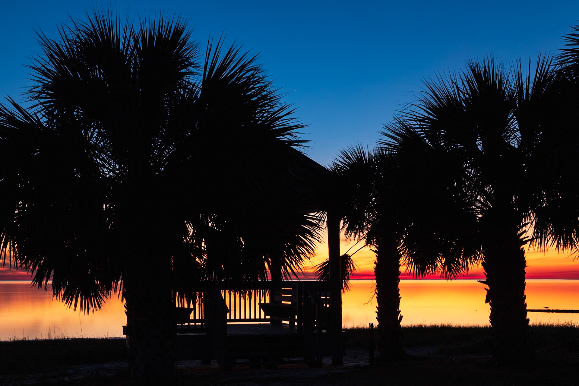 The horizon glows behind the silhoutte trees during the sunset at Keaton Beach
