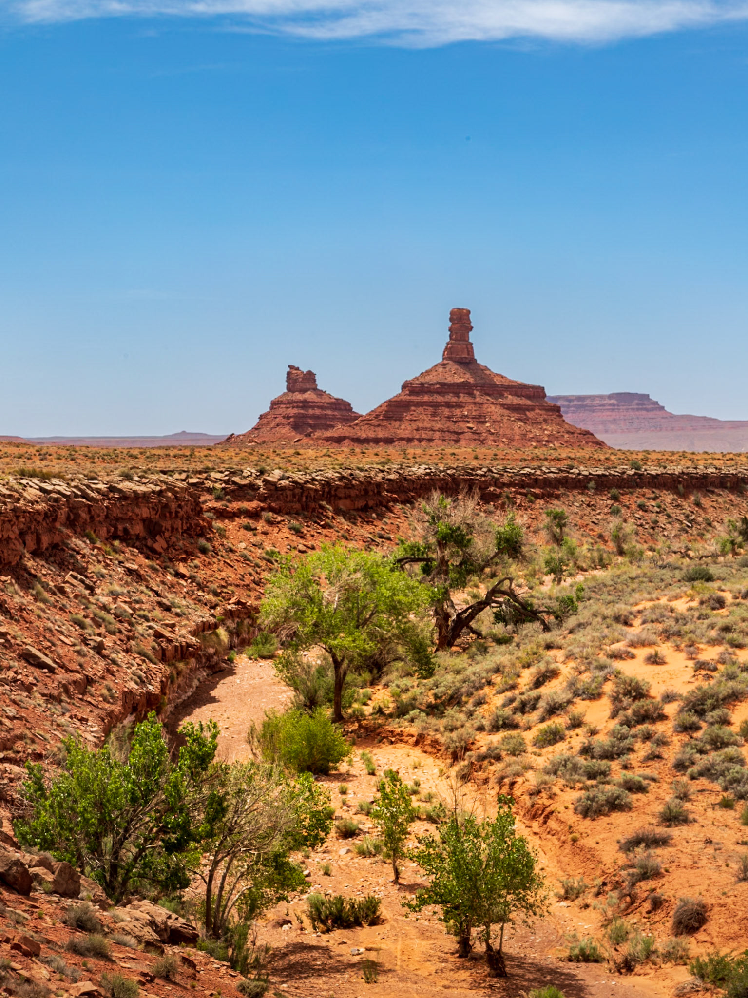 a dry stream bed in the Valley of the Gods