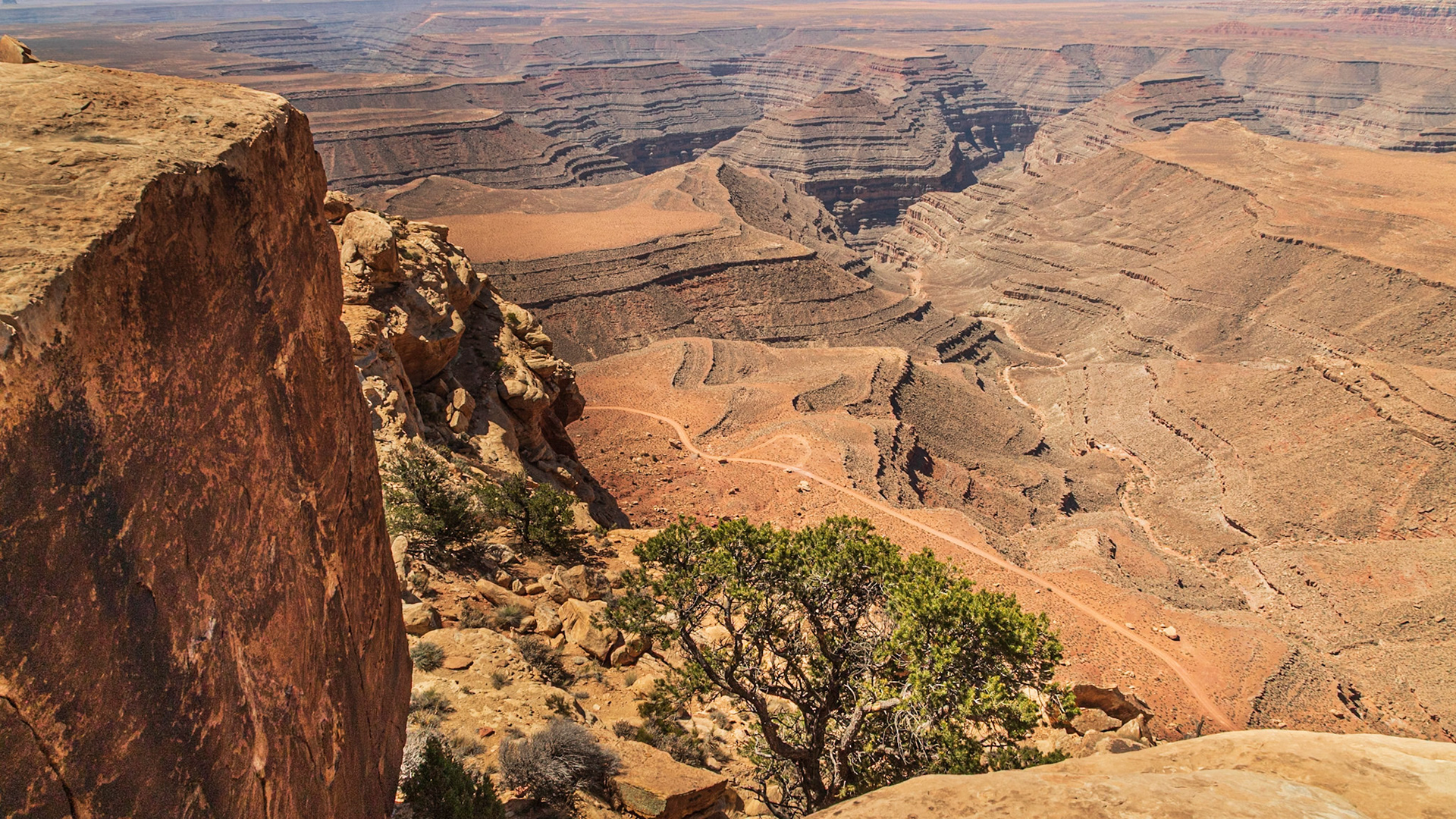Looking down into the canyon from Muley Poing