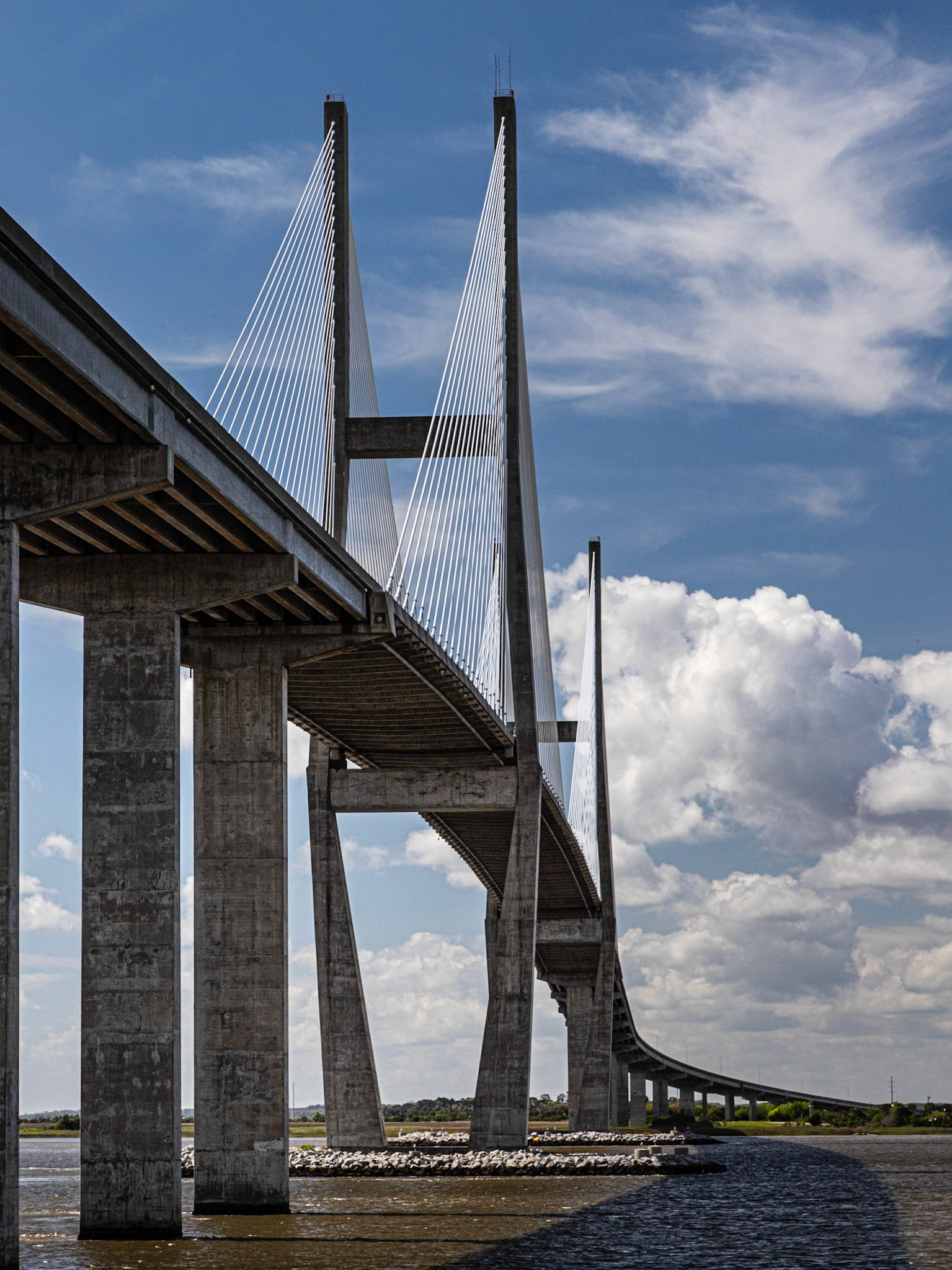 Sidney Lanier Bridge
