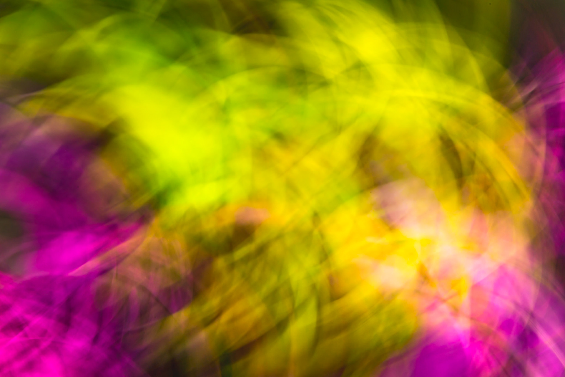 Flower Color