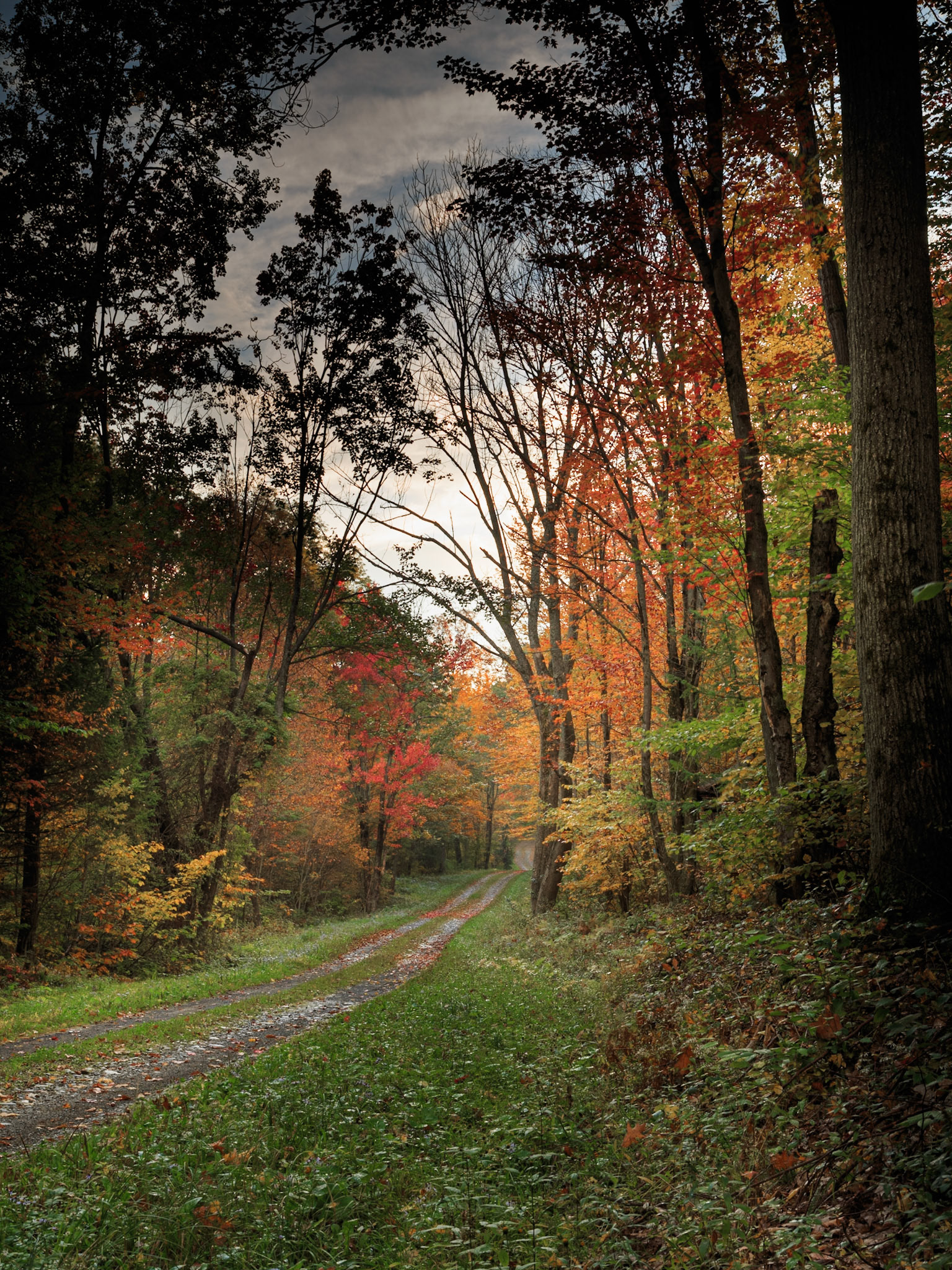 The Road less traveled