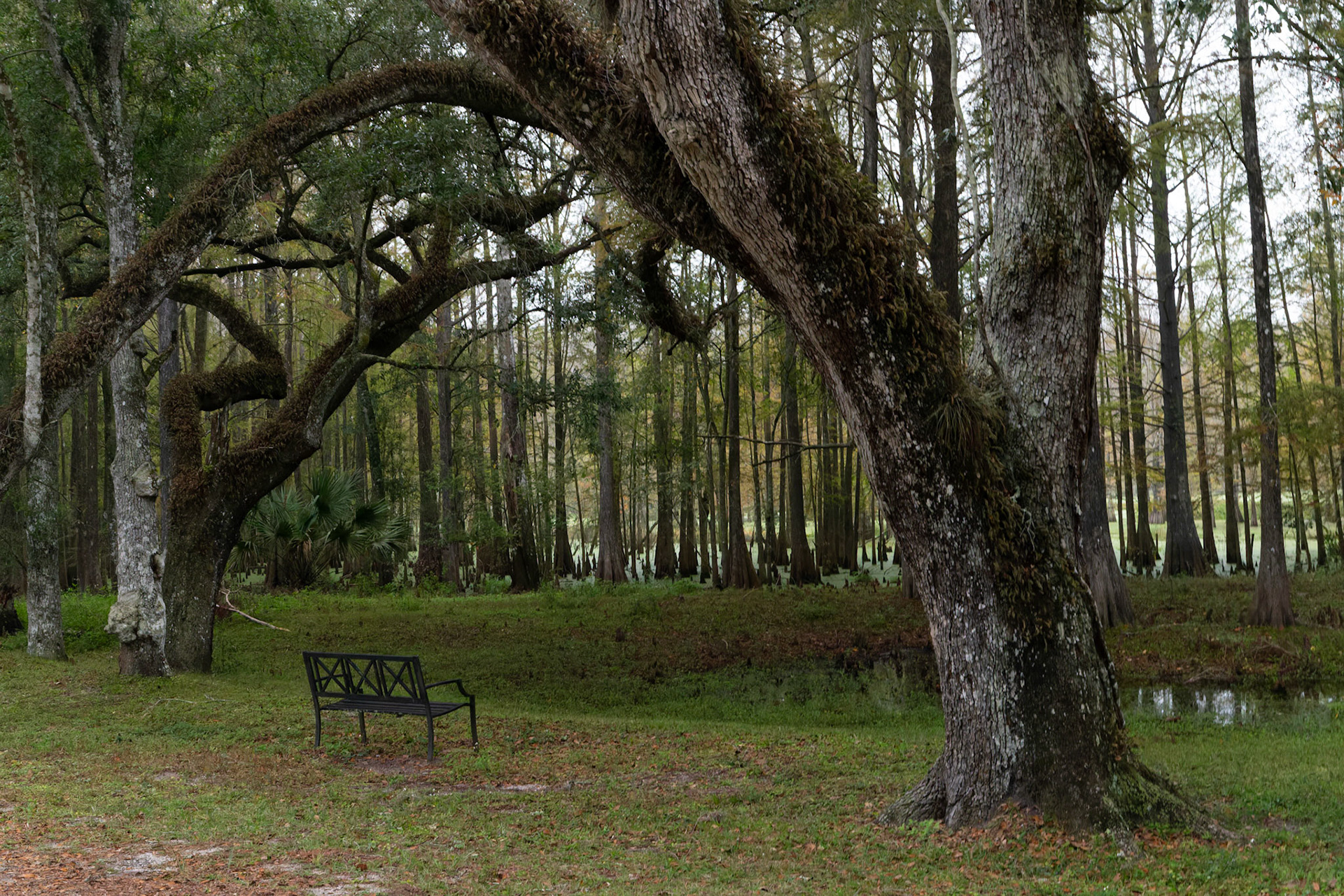 Sumter 0306