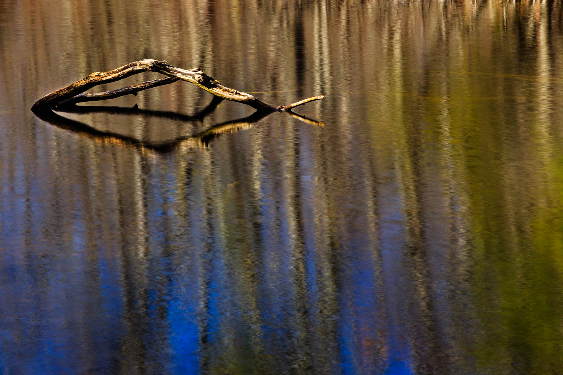 Shimmering Waters