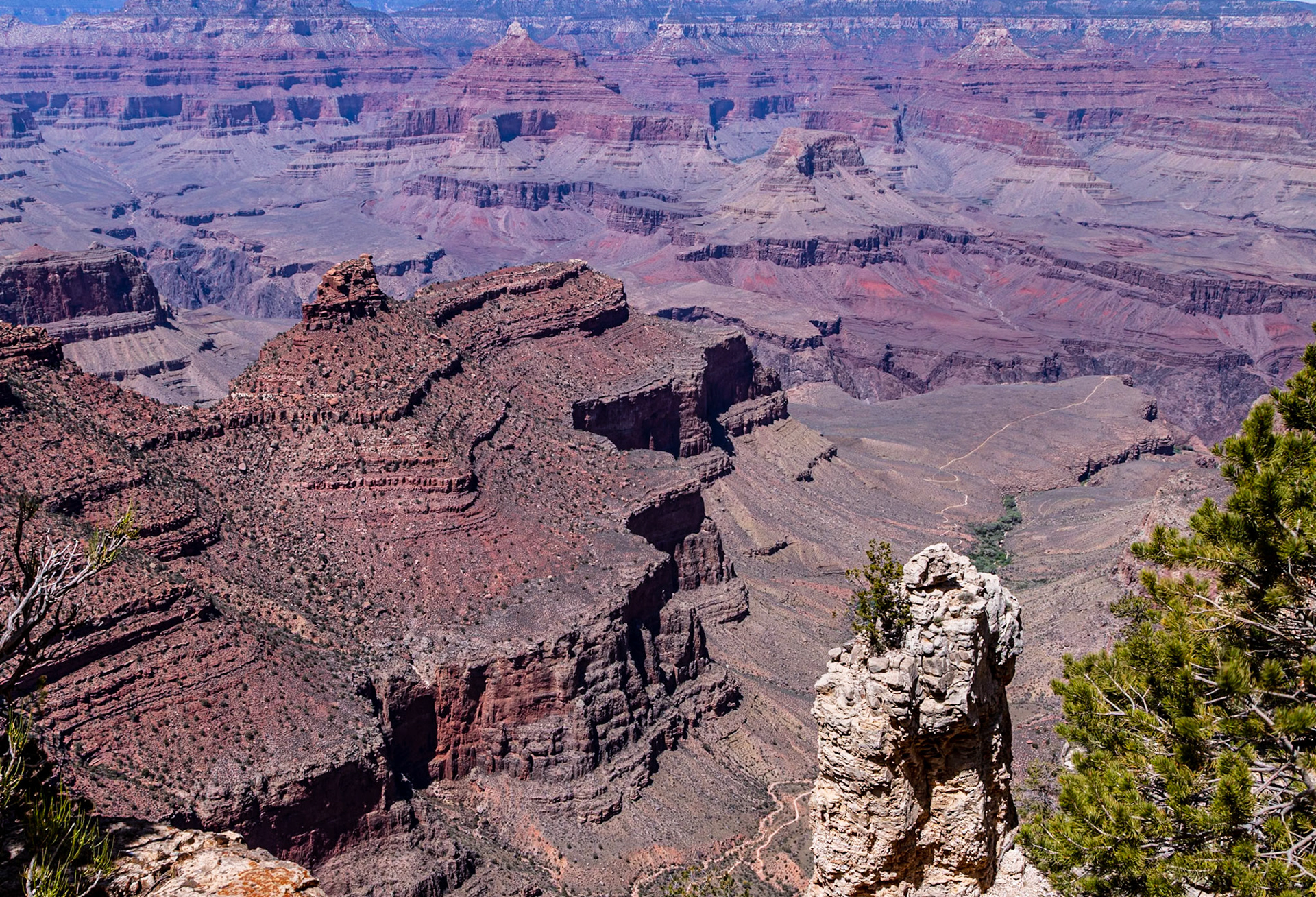 View into Grand Canyon along the Rim Trail
