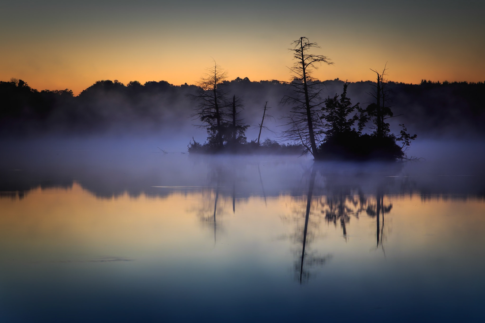 Golden light over pond before sunrise