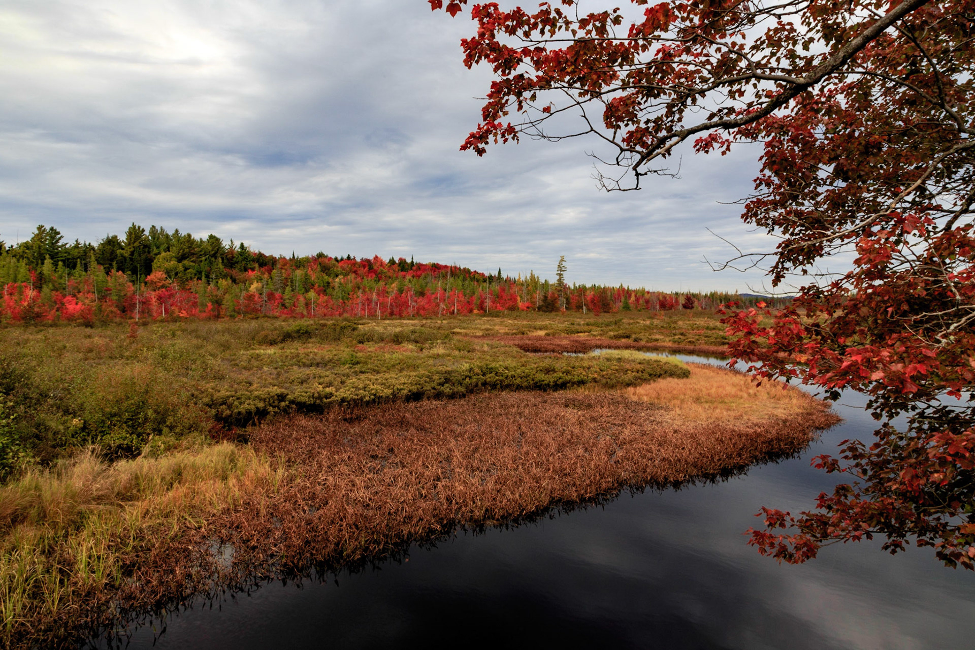 Fall at Little Tupper Lake