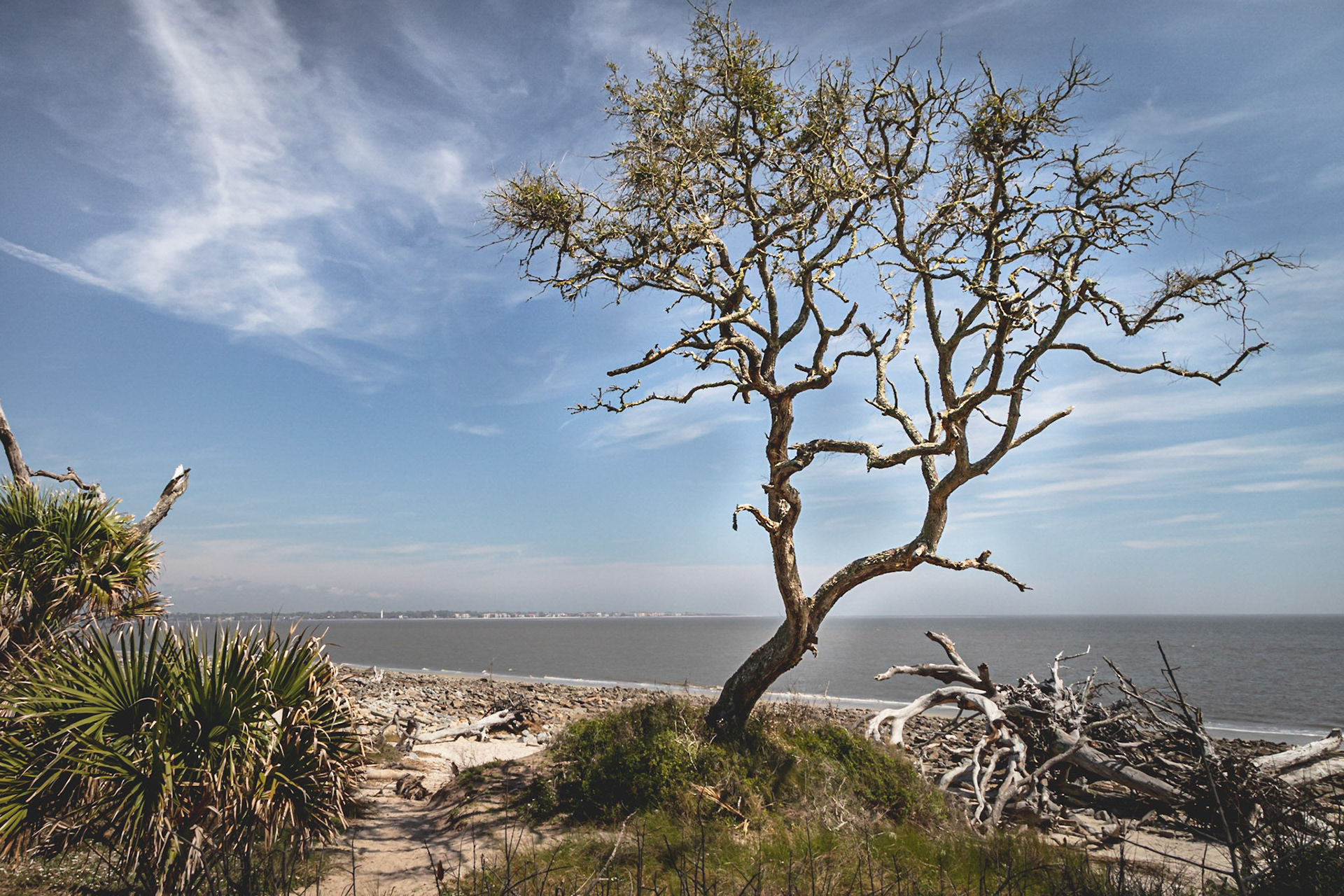 Beach Trail