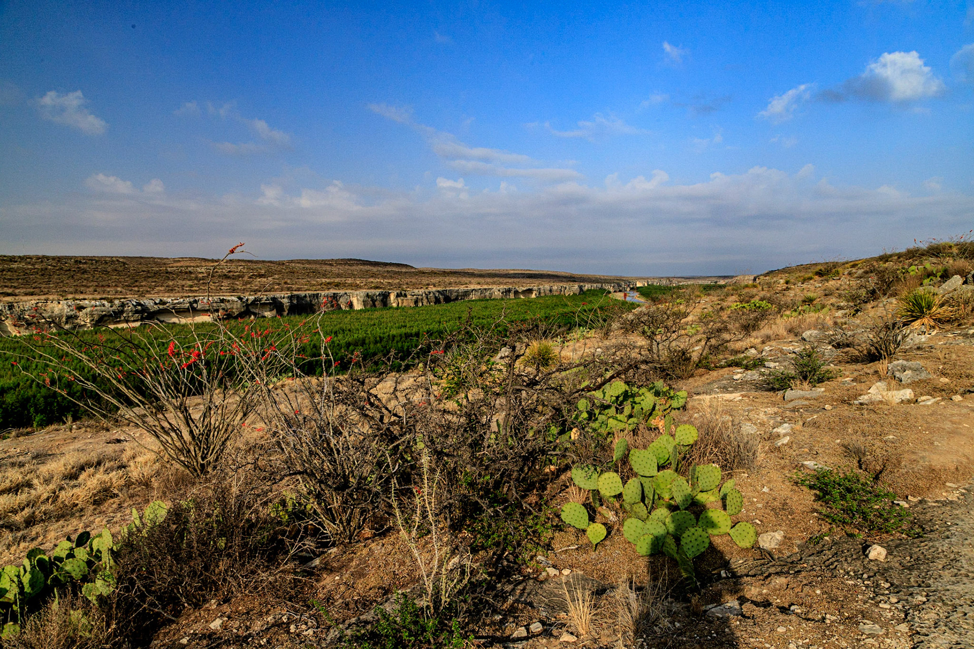 Along the Rio Grande