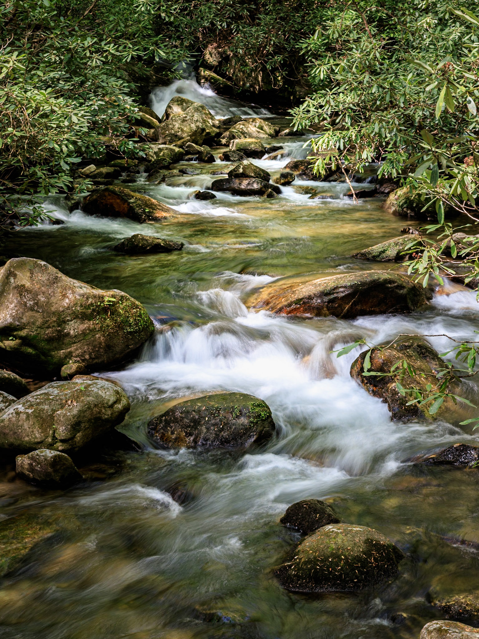 Rushing waters at Jones Gap Falls