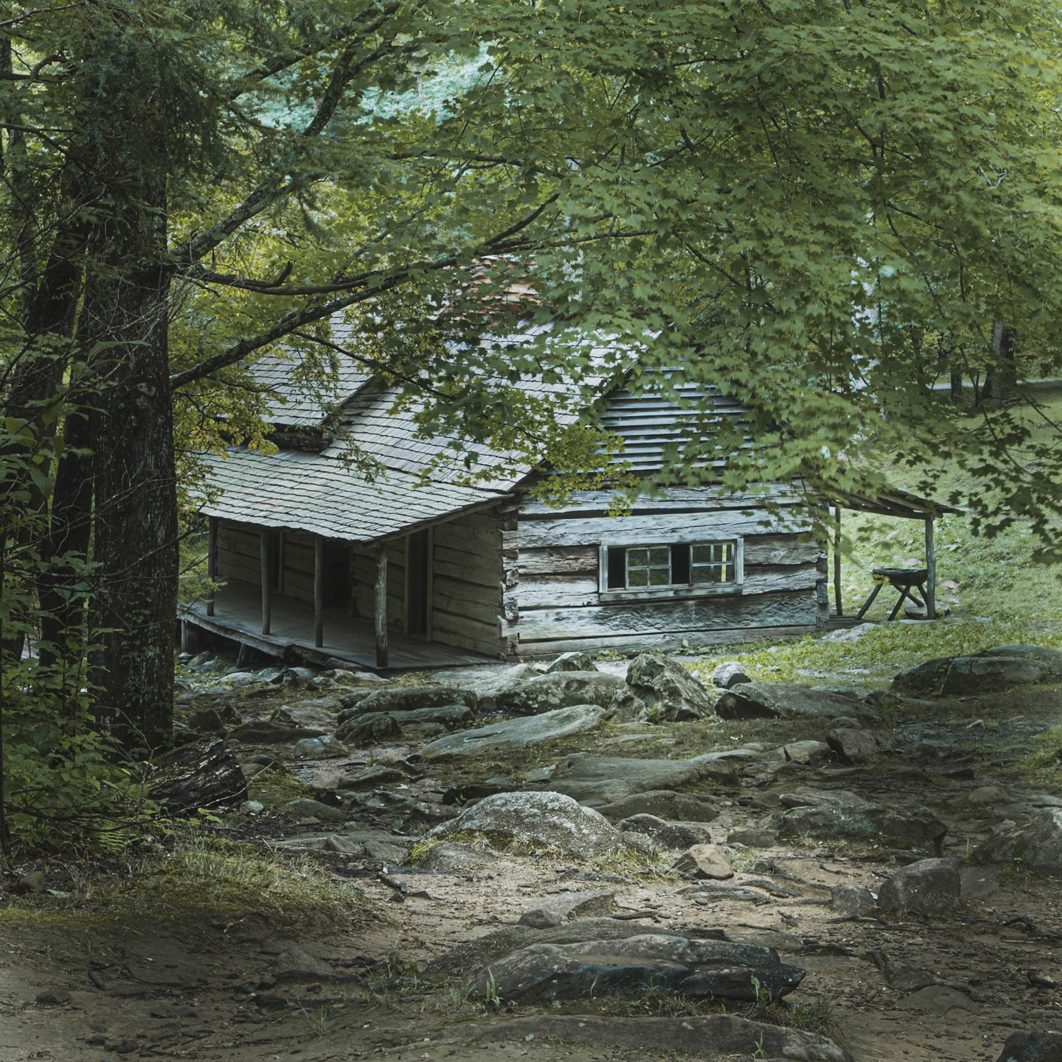 Ogle Place
