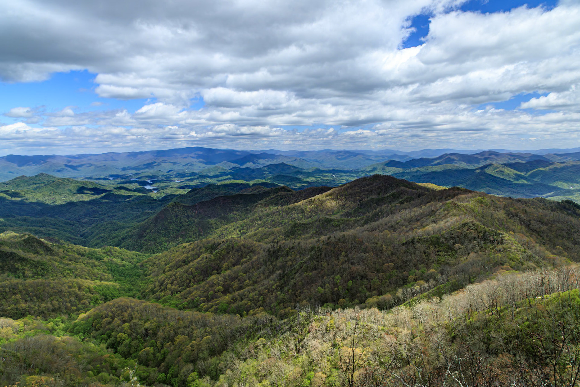 Looking out from Wesser Bald on the AT trail