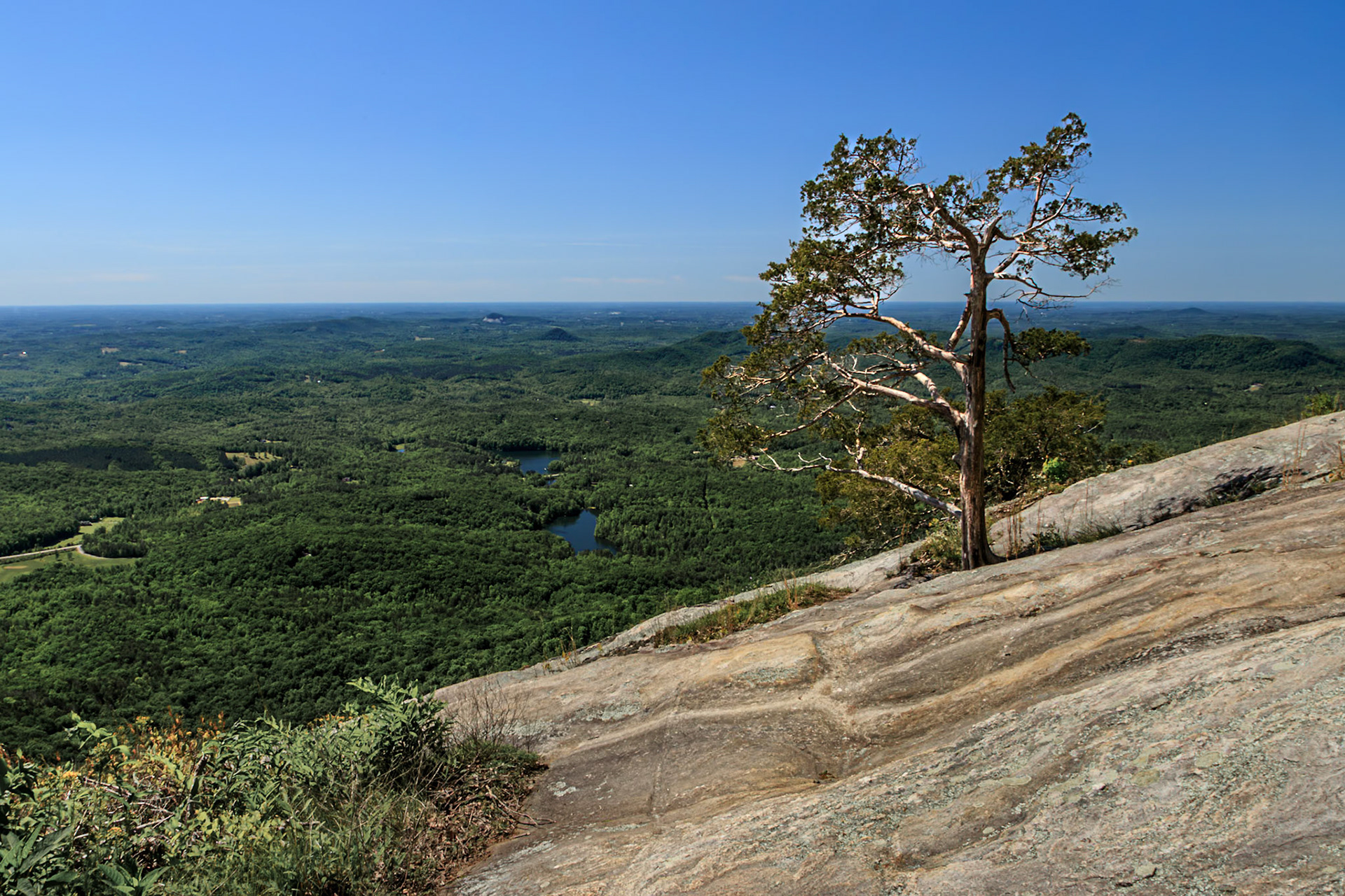 A lone tree struggle to grow across a massive rocky mountain outcrop
