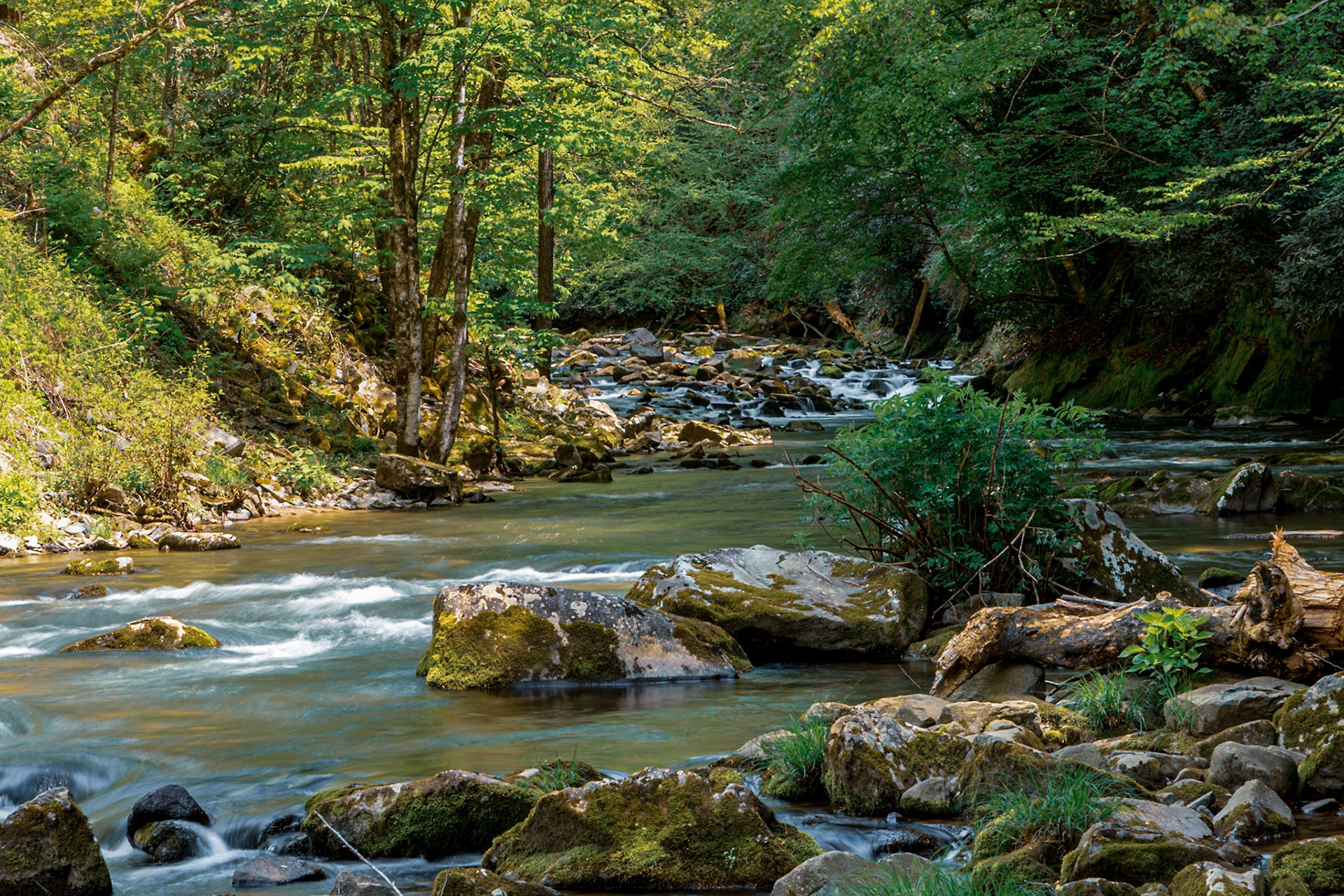 Nantahala River