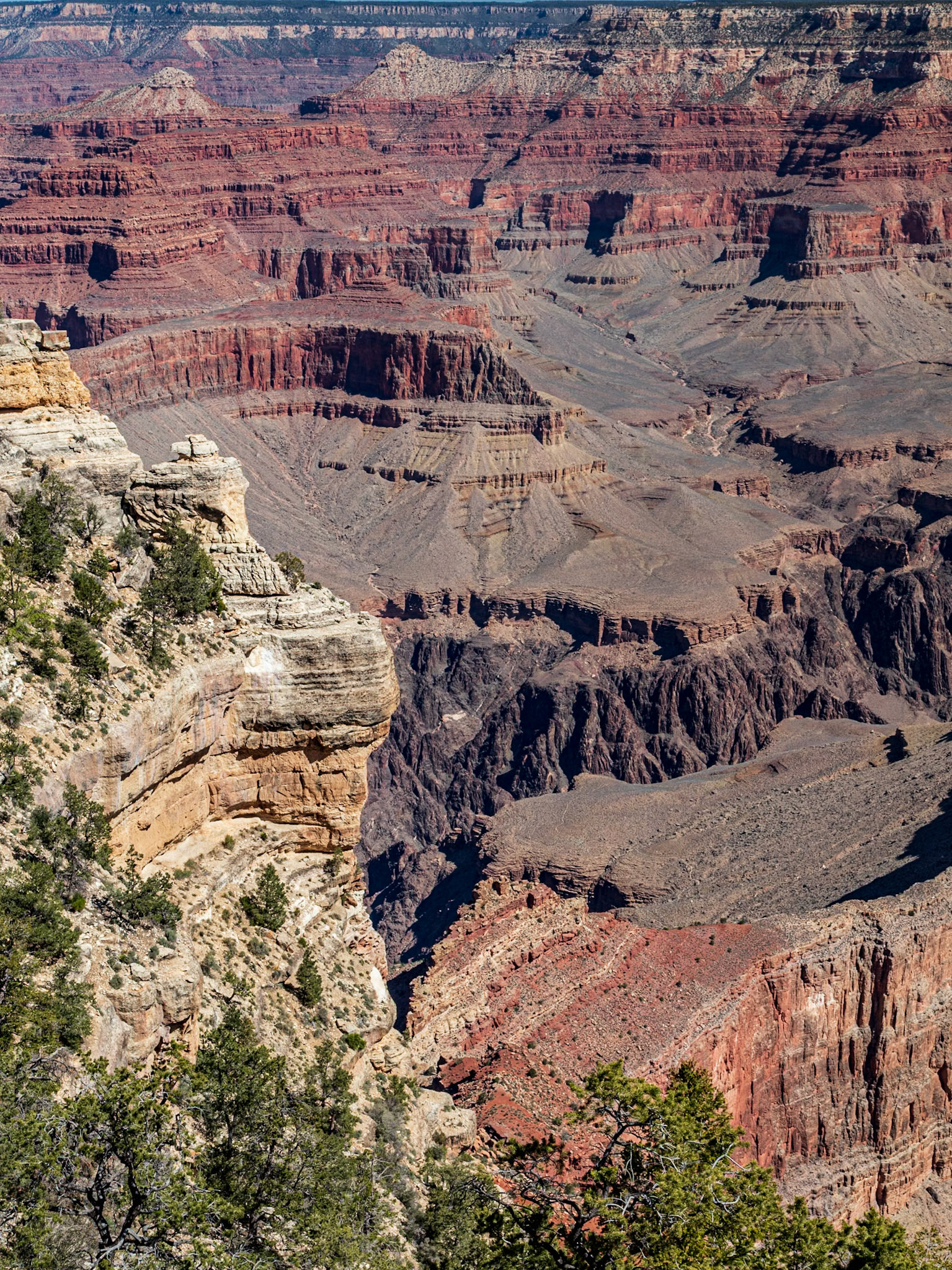 view from overlook along the grand canyon