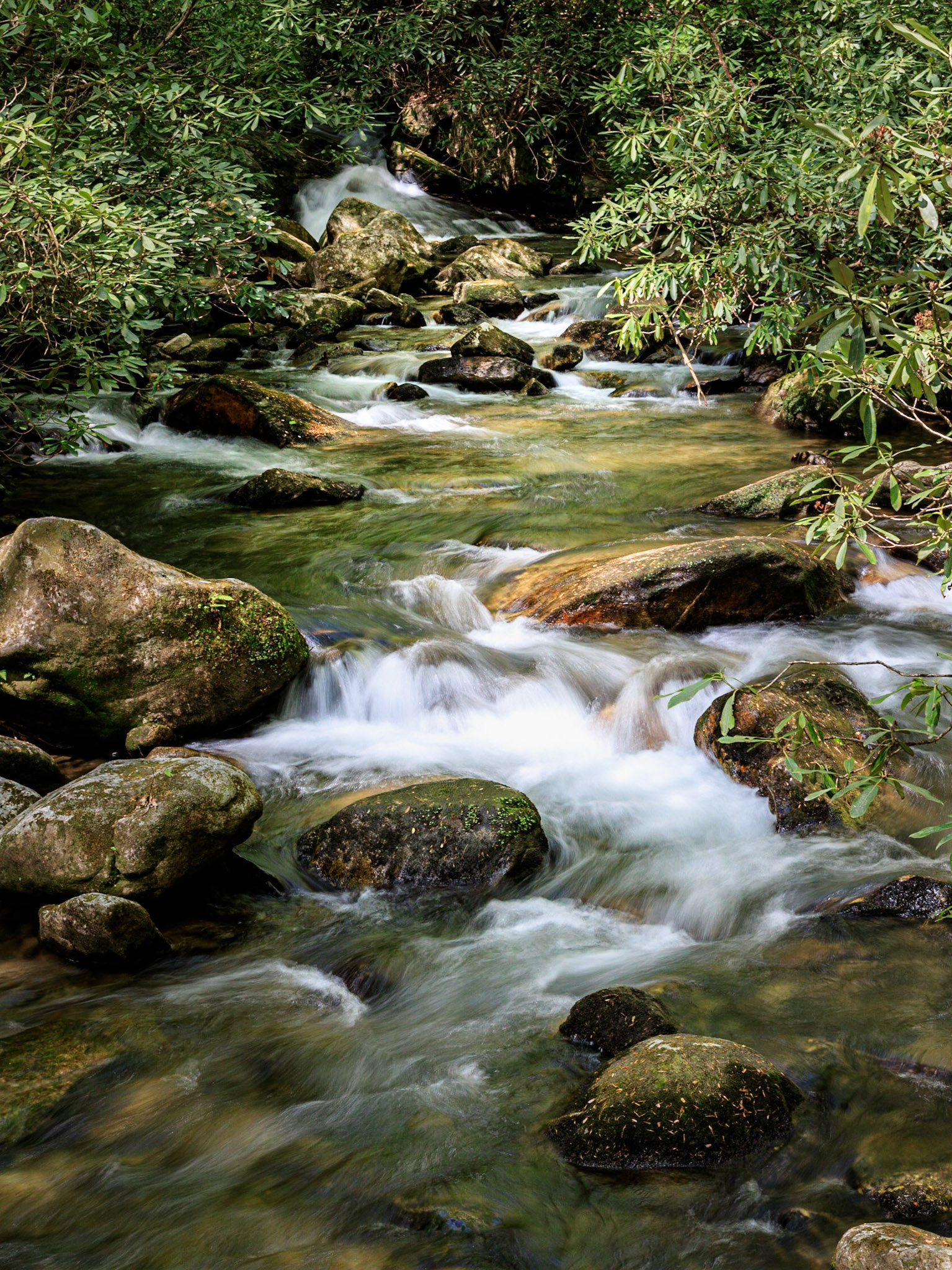 Rushing Downstream