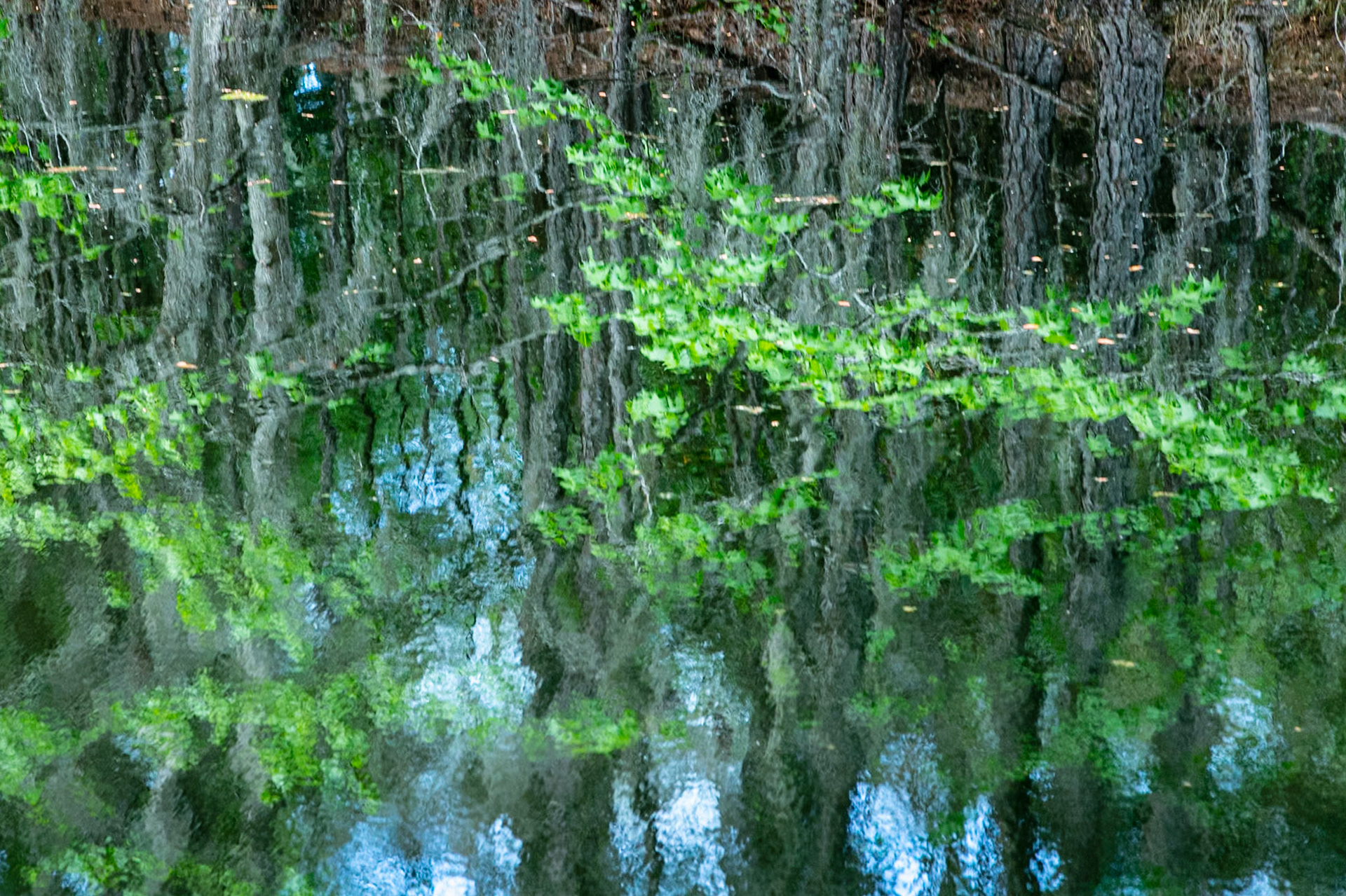 Nature's Watercolor