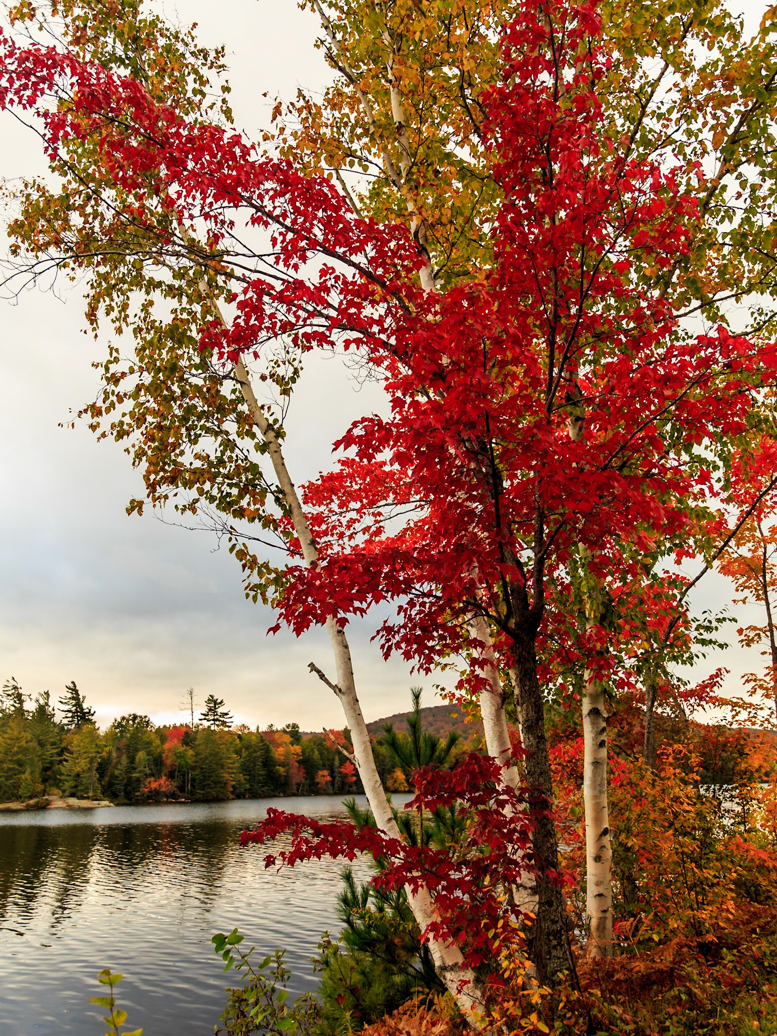 Autumn Lake Durant