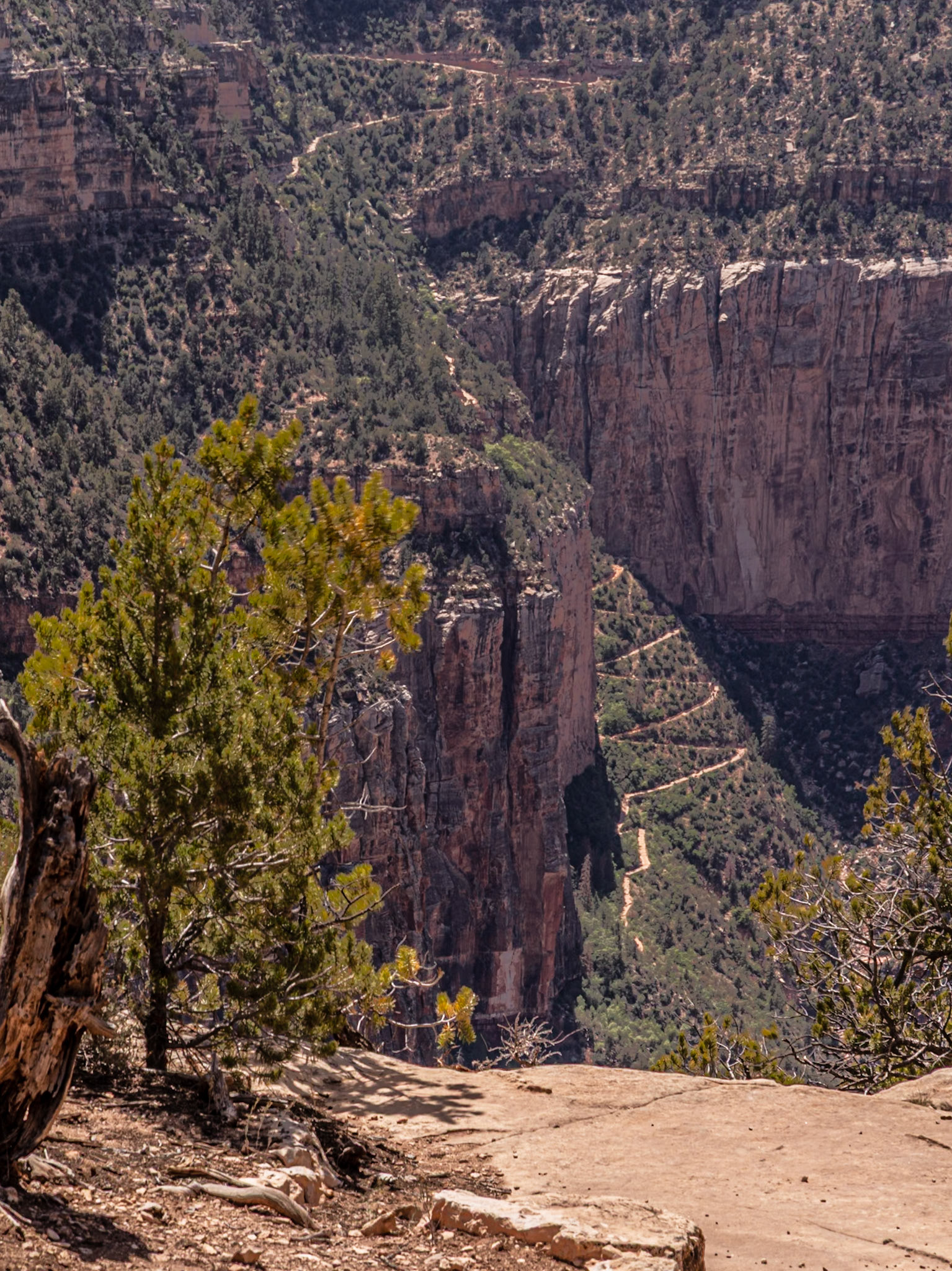 The Angel trail meandors downward in the distance