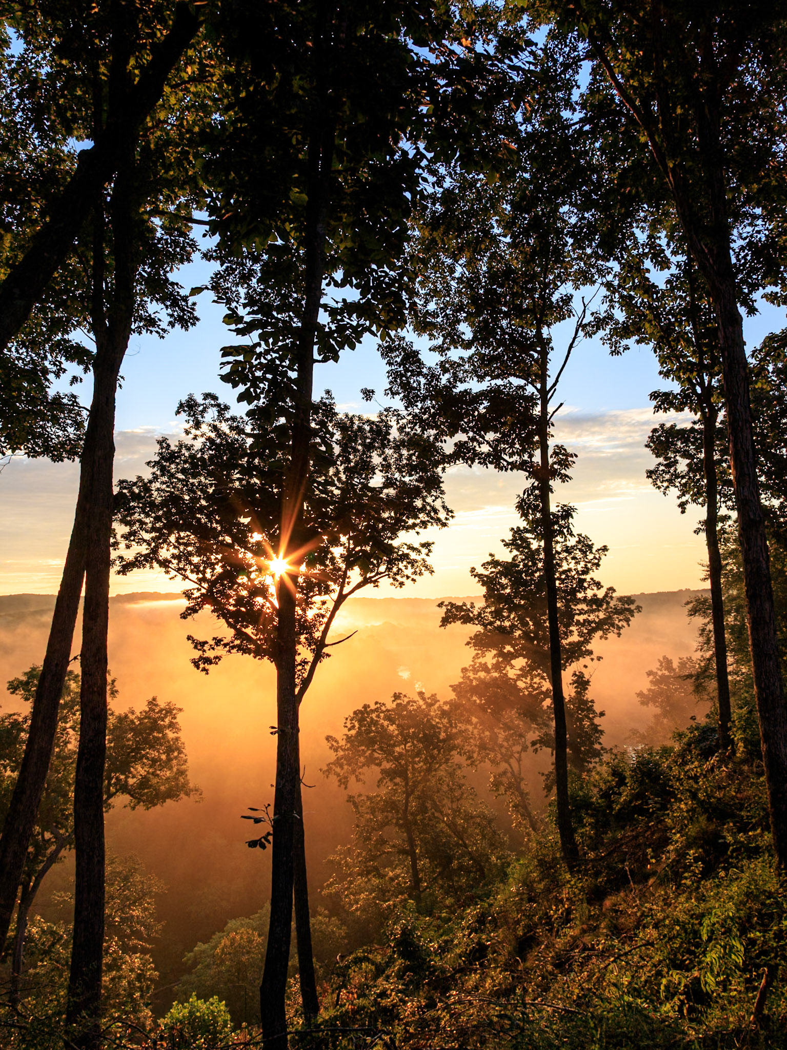 Sun rising above the fog along Horseshoe Bend