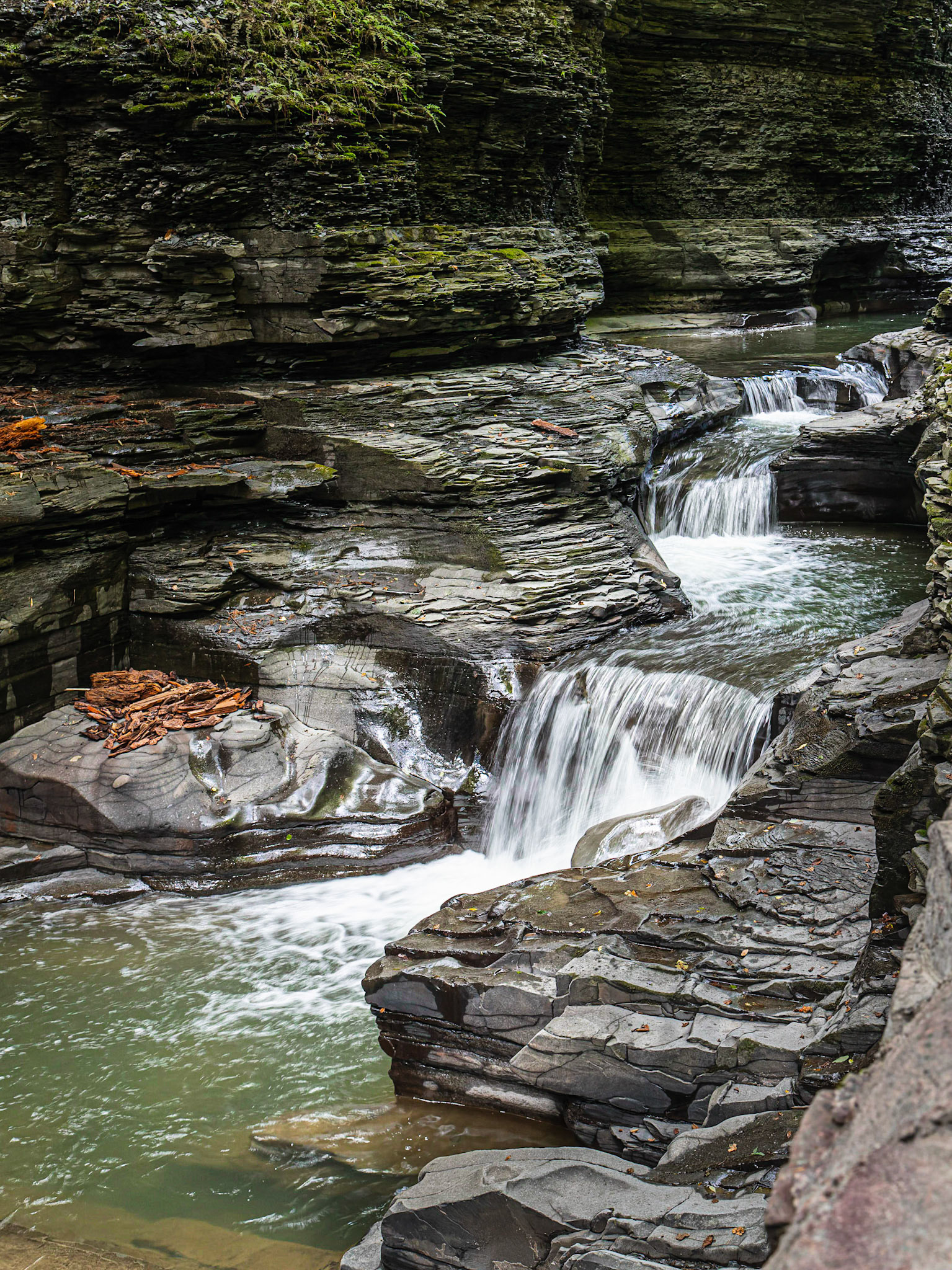 Gorge Trail
