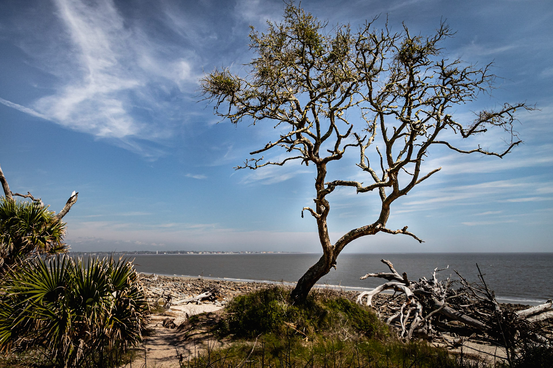 Beach Trail