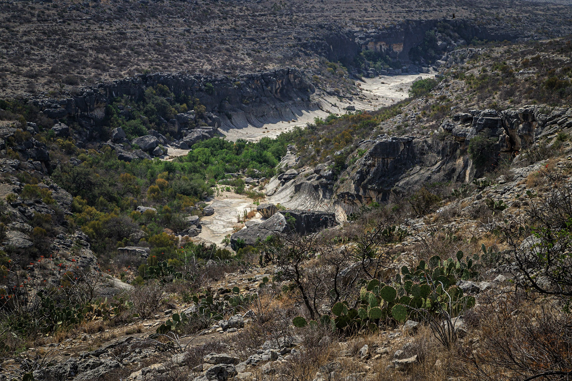 Seminole Canyon