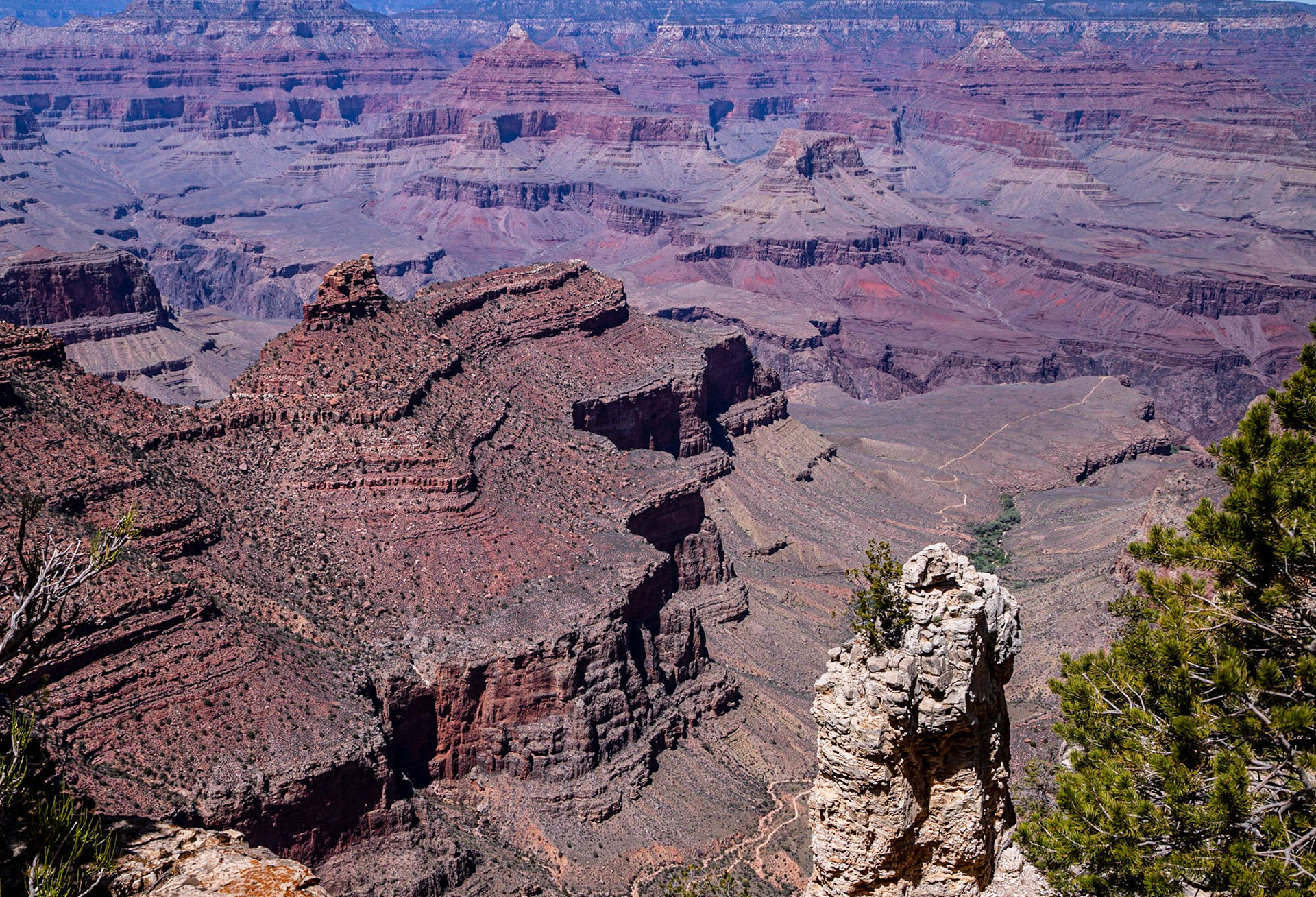 Rim Trail