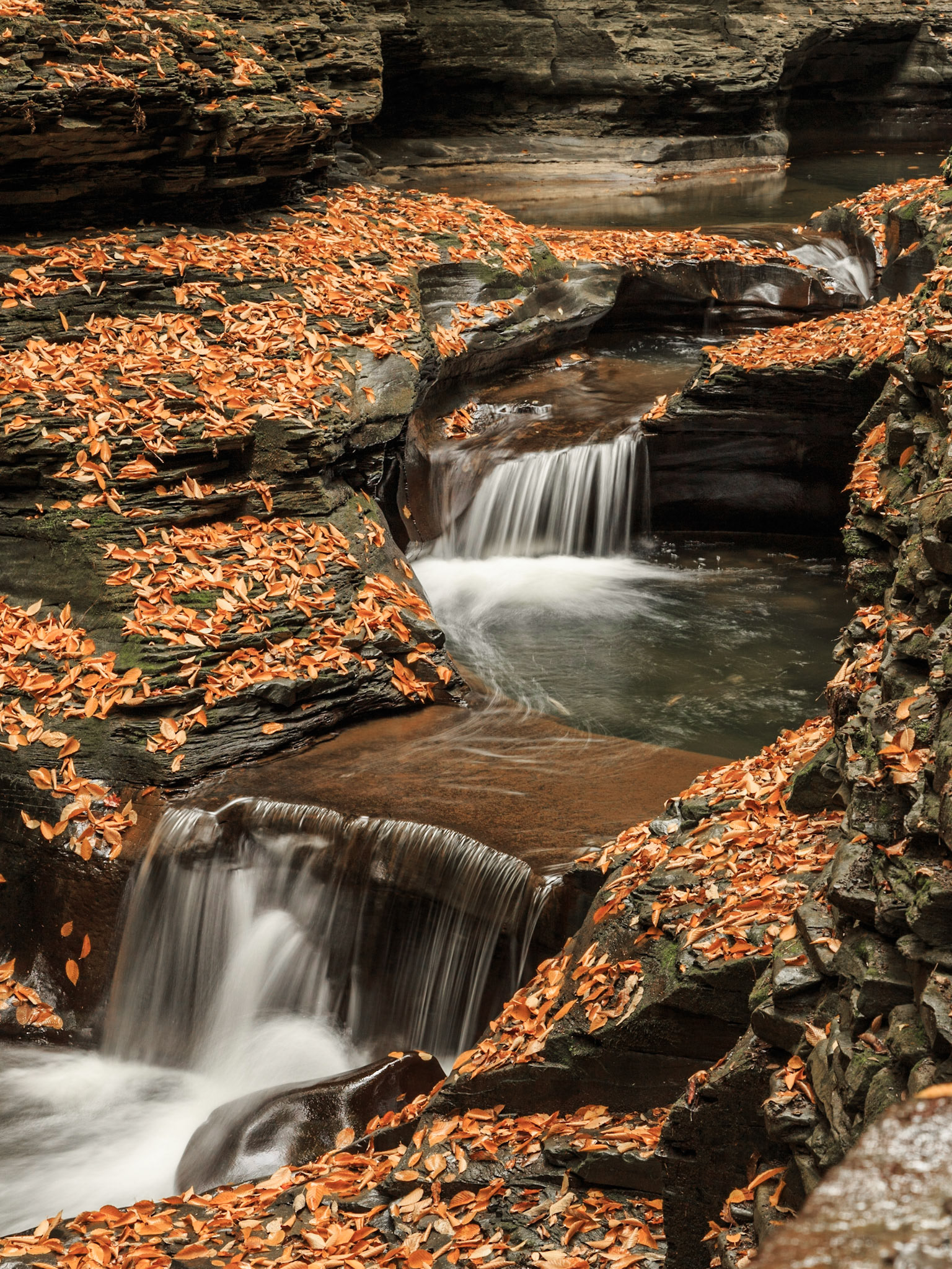 Double cascade waterfall at Watkins Glen State Park