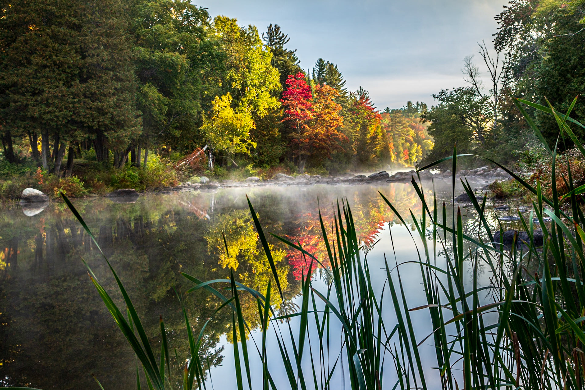 Rising Mist from the River